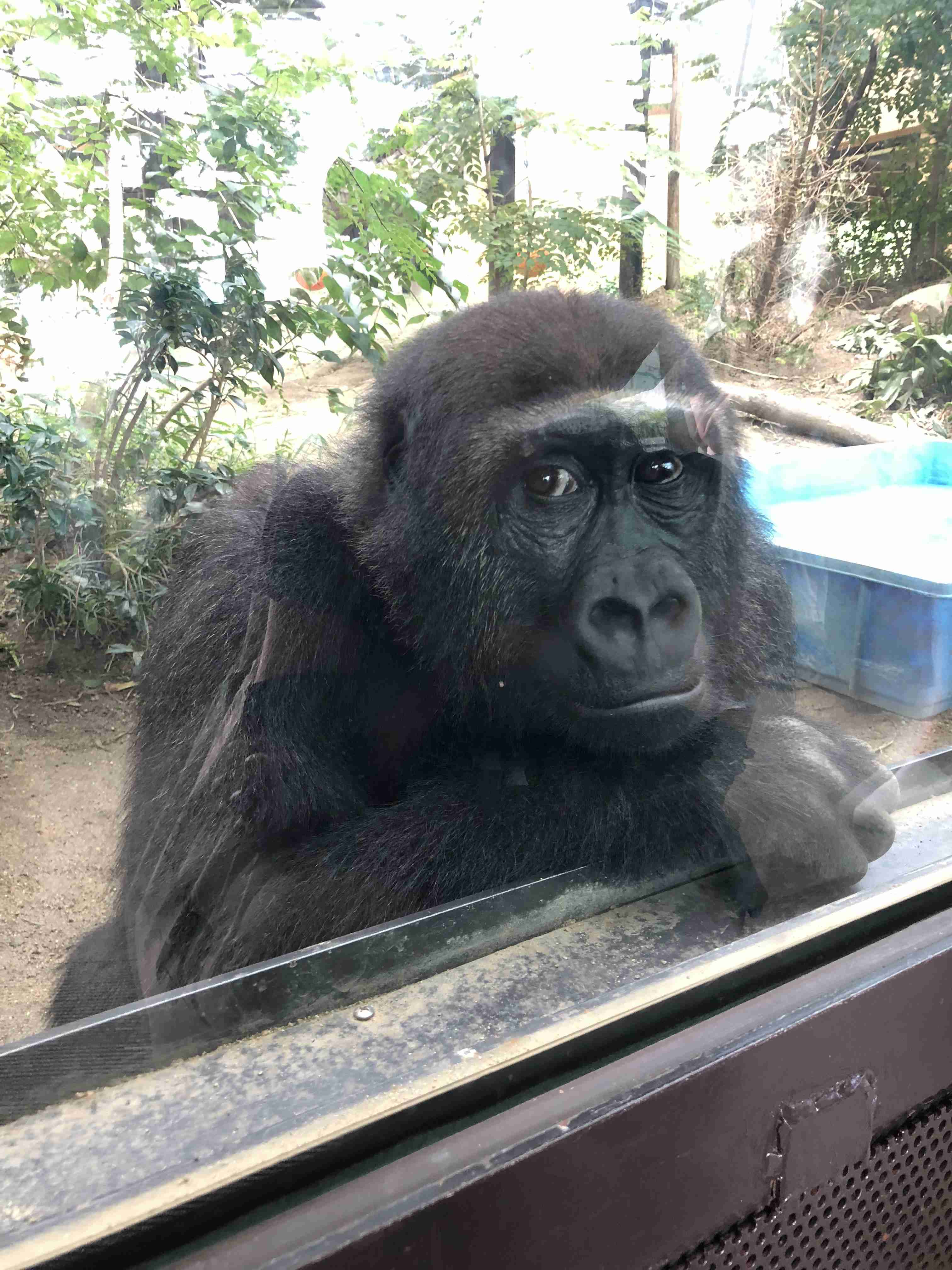 動物園や水族館で撮った写真見せてください!