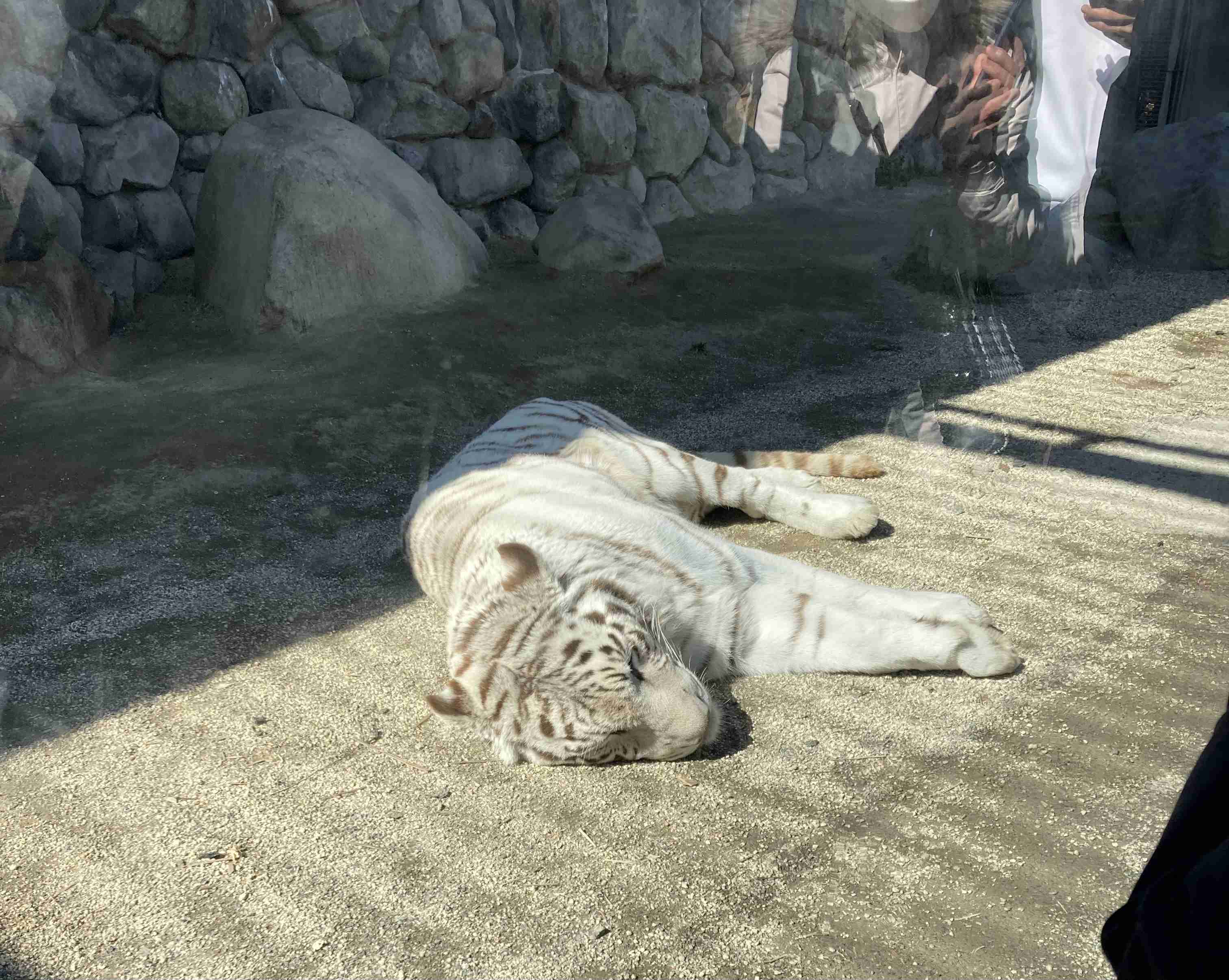 動物園や水族館で撮った写真見せてください!