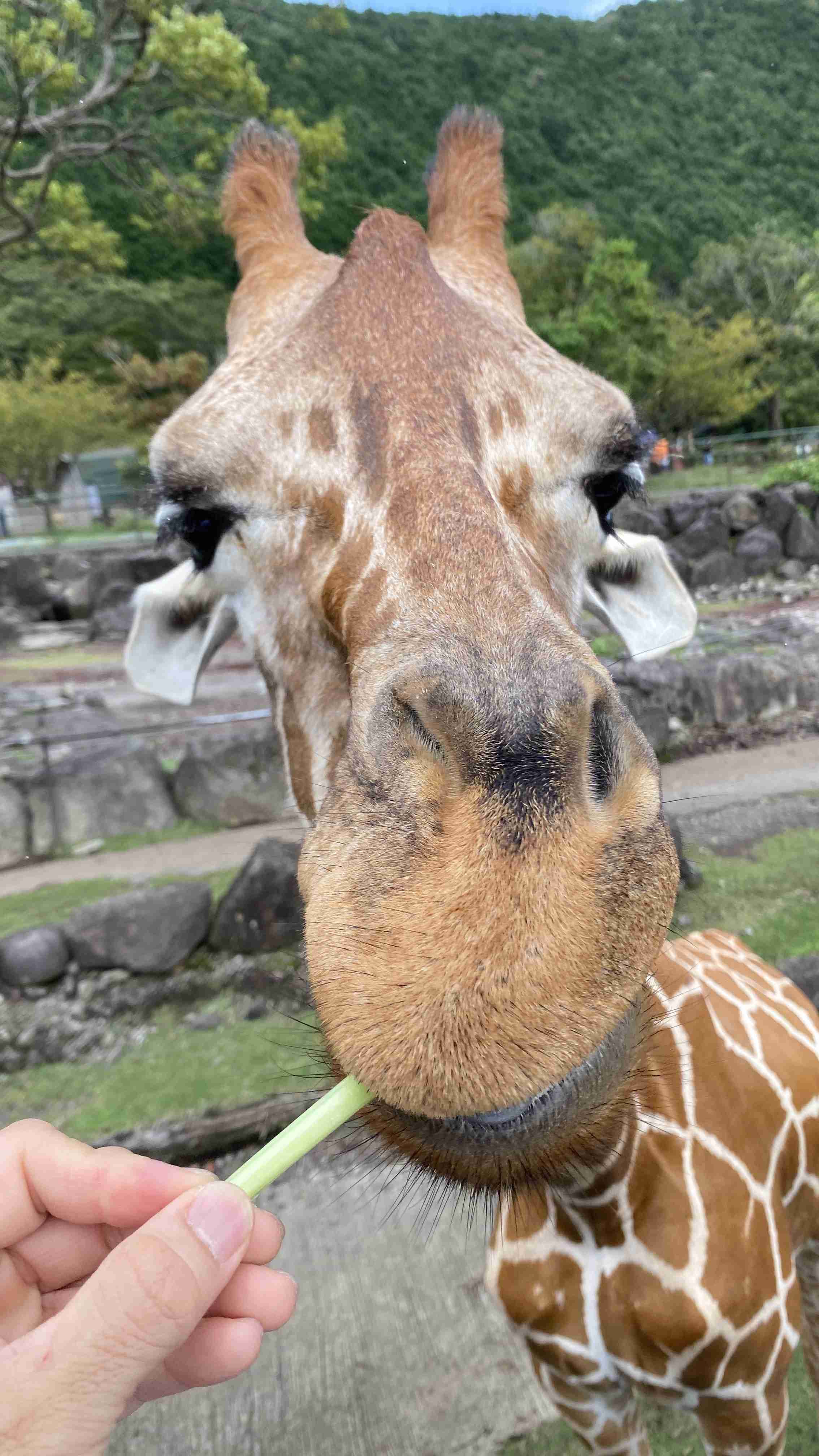 動物園や水族館で撮った写真見せてください!