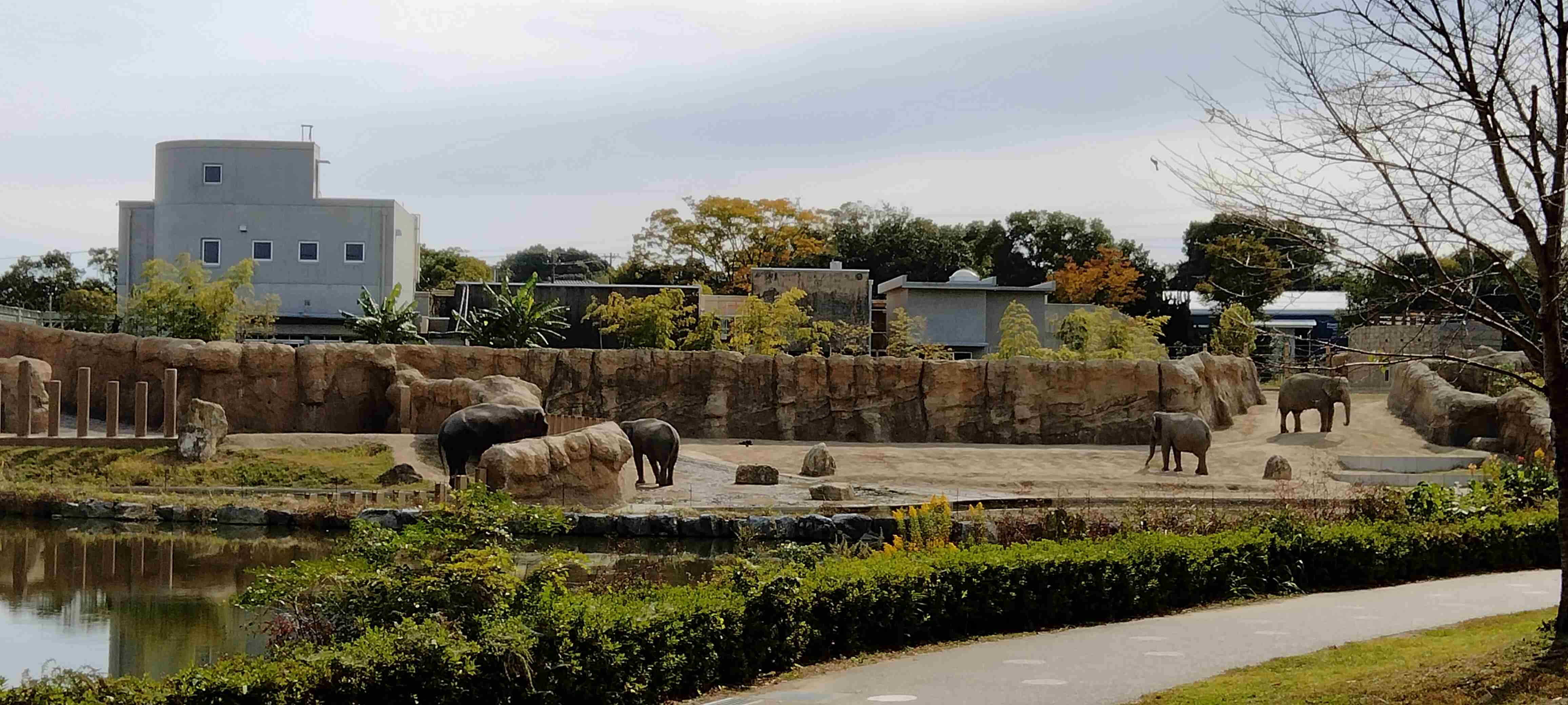 動物園や水族館で撮った写真見せてください!