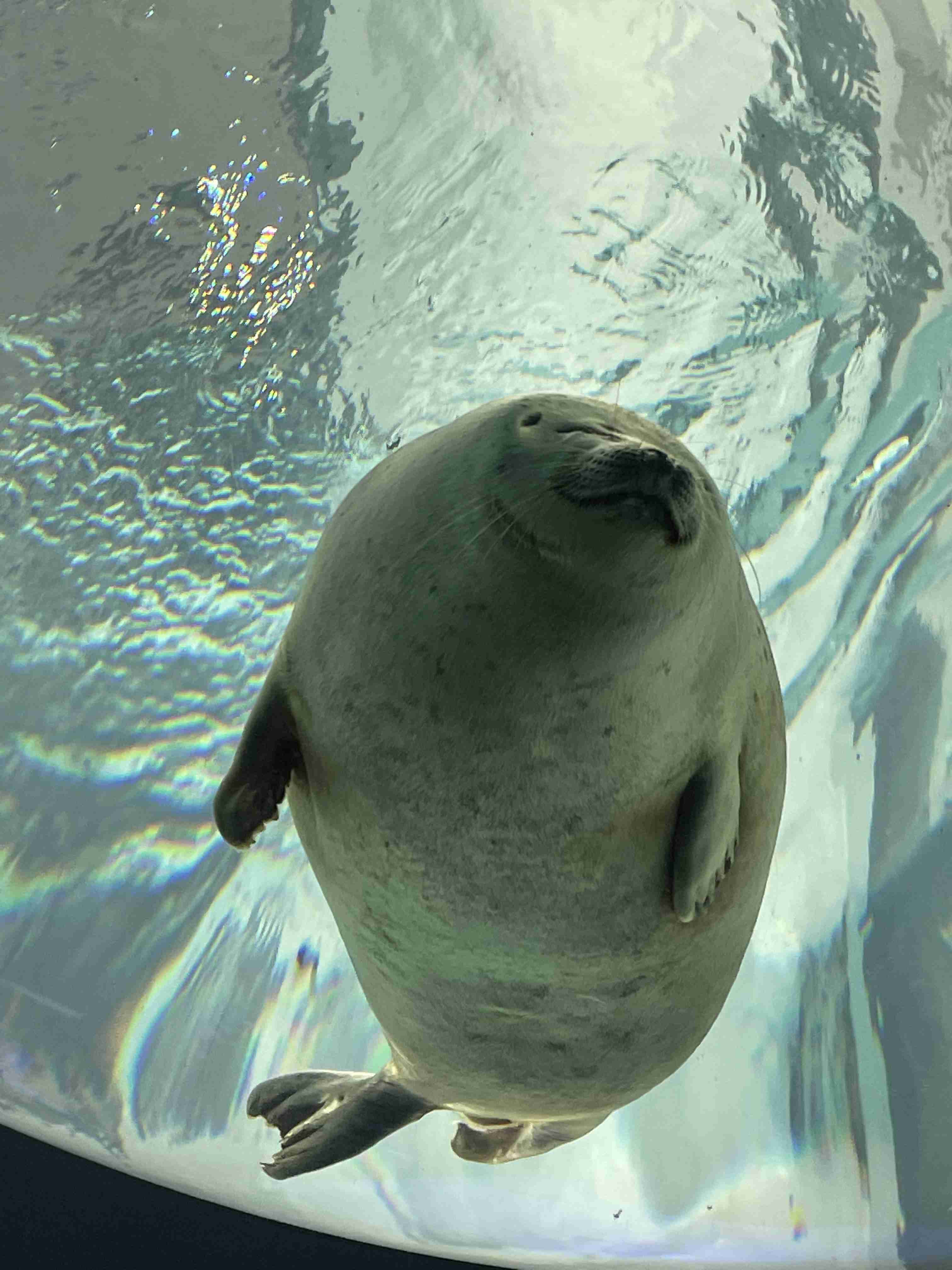 動物園や水族館で撮った写真見せてください!