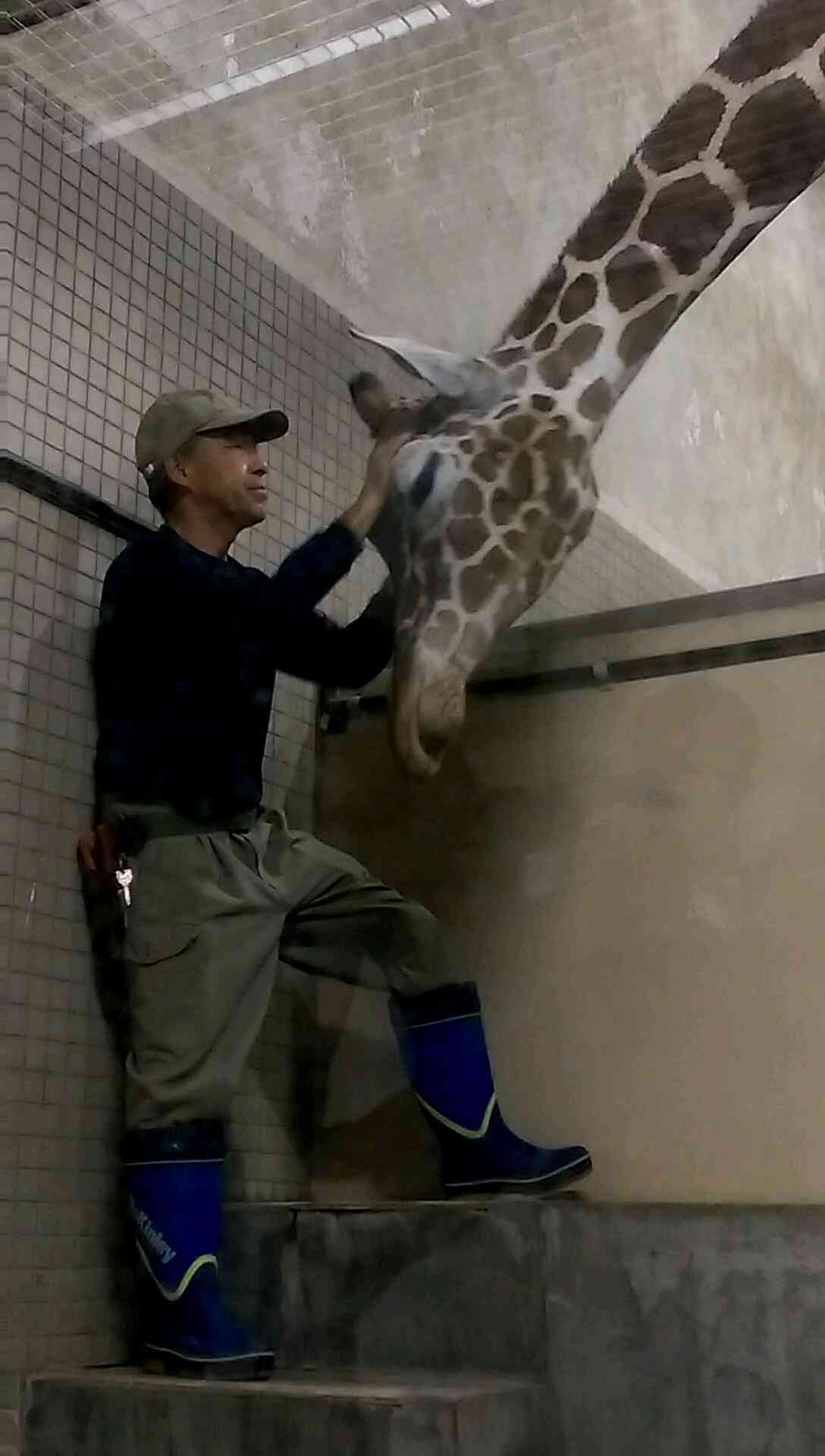 動物園や水族館で撮った写真見せてください!