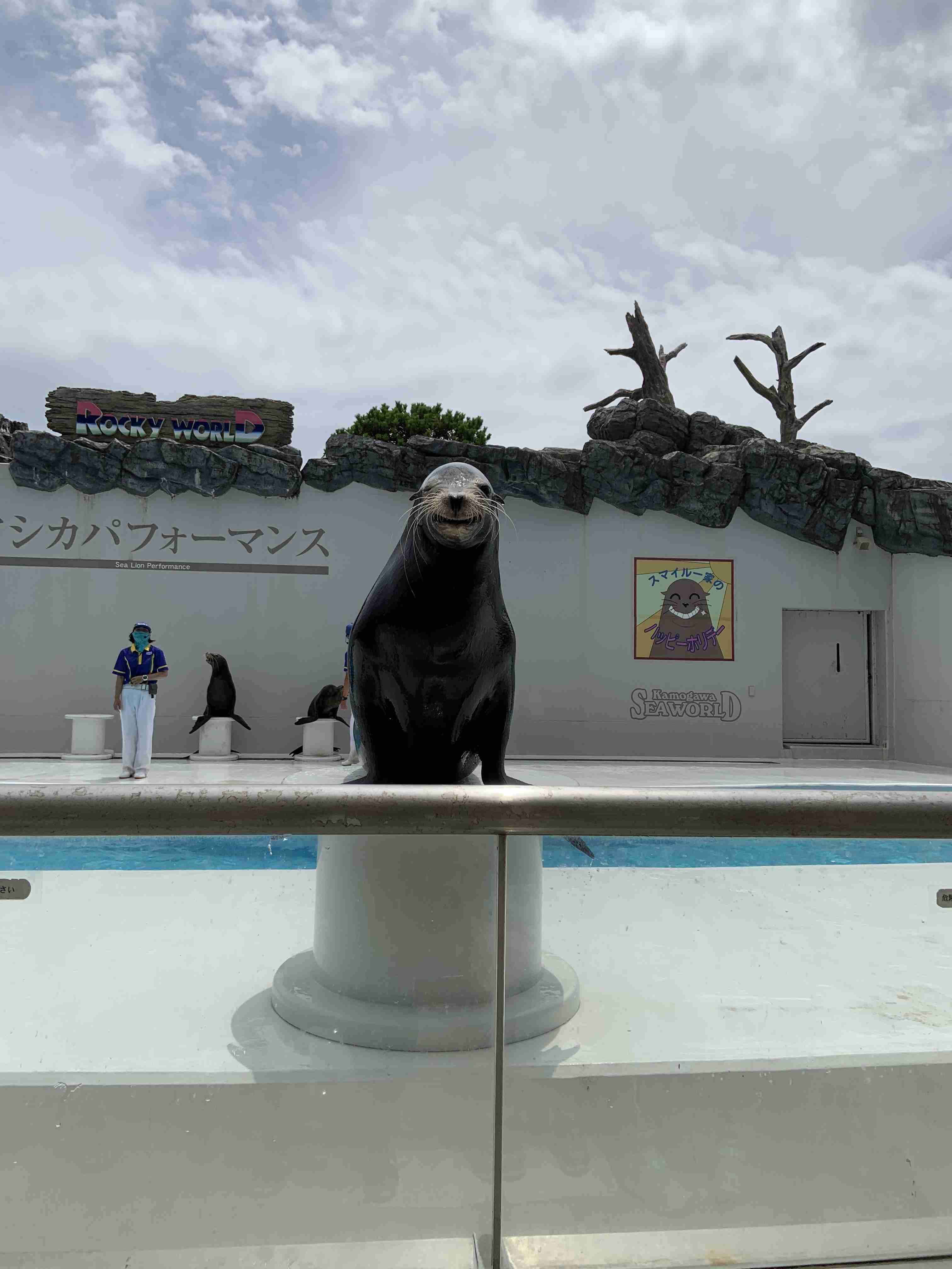 動物園や水族館で撮った写真見せてください!