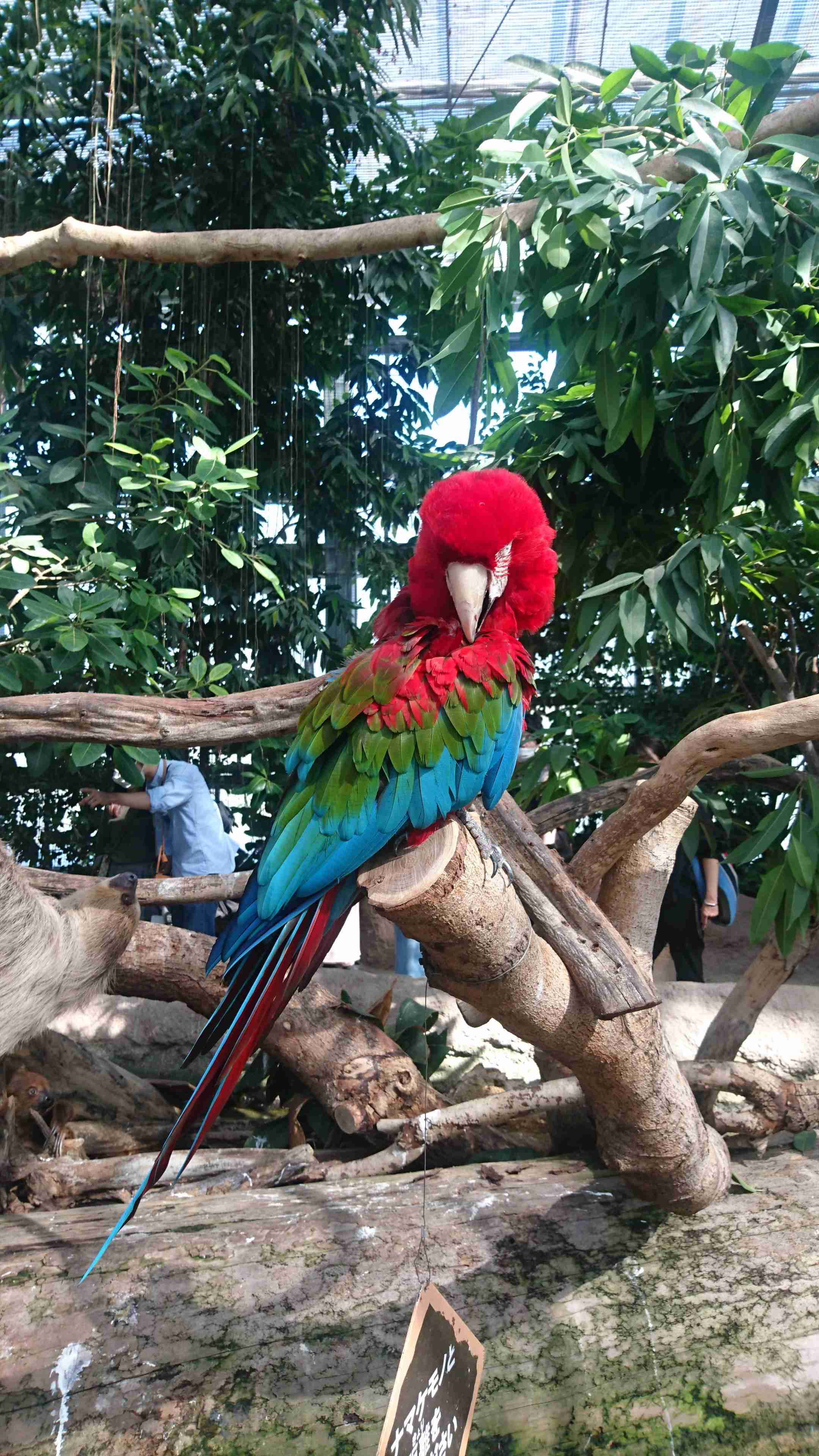 動物園や水族館で撮った写真見せてください!