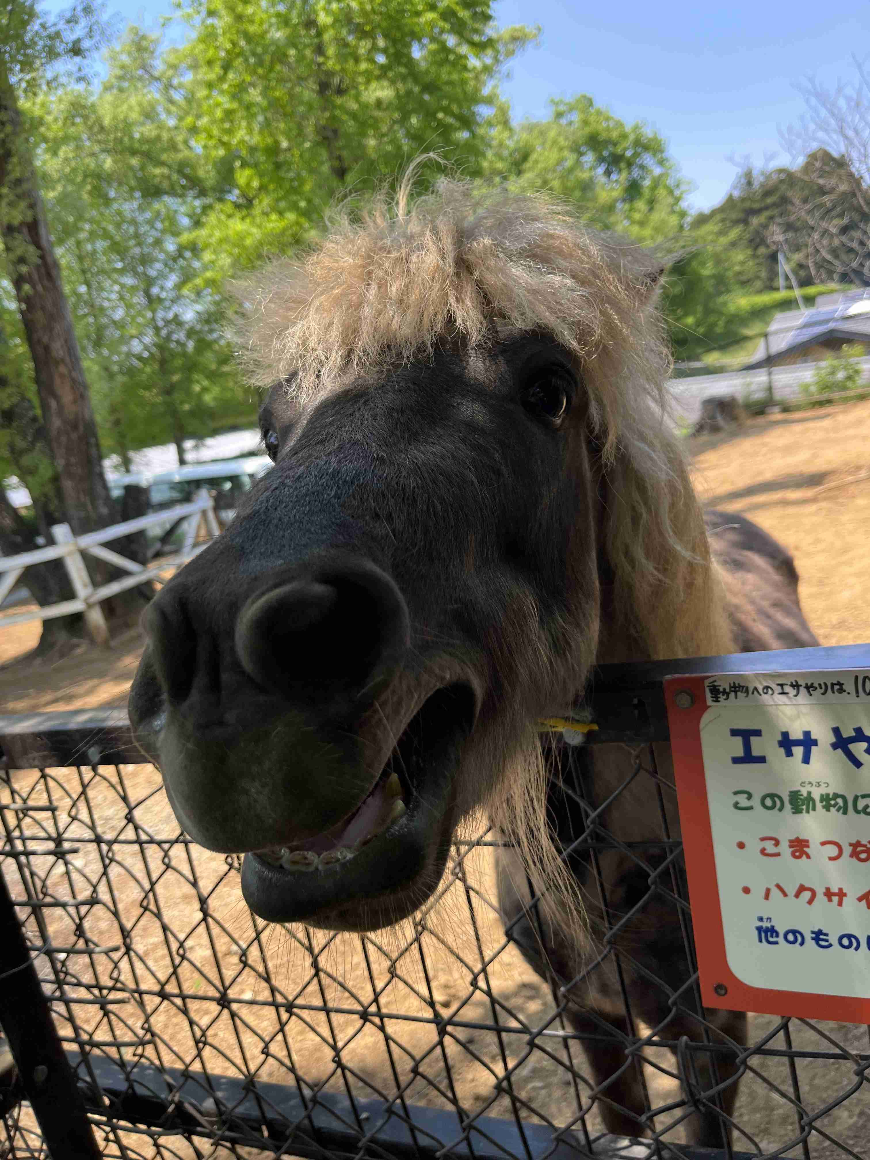 動物園や水族館で撮った写真見せてください!