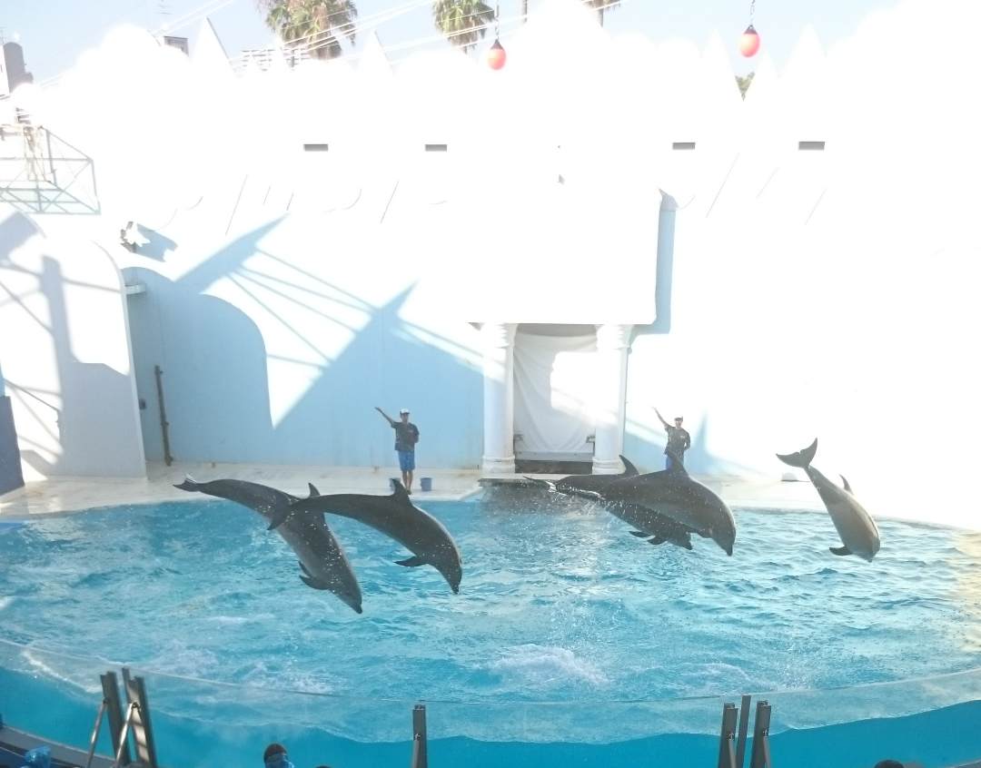 動物園や水族館で撮った写真見せてください!