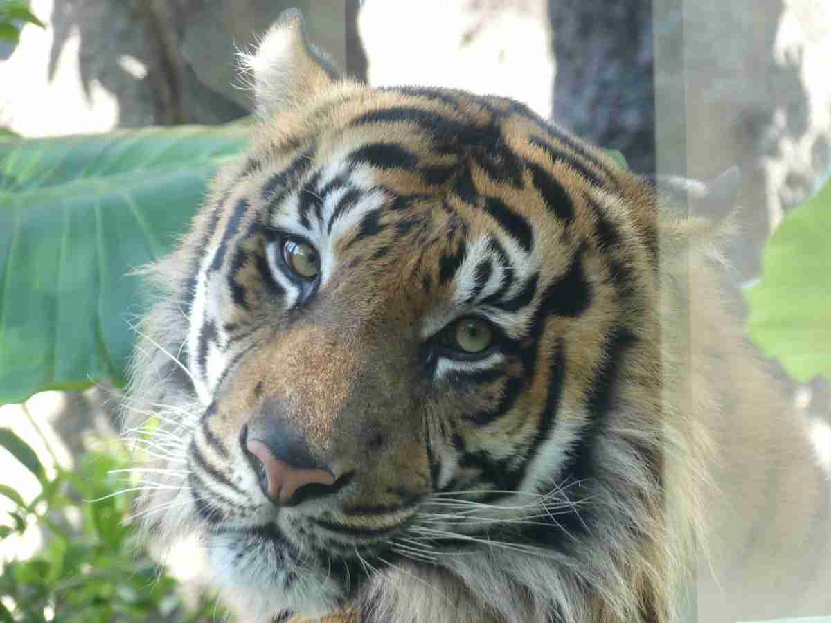 動物園や水族館で撮った写真見せてください!