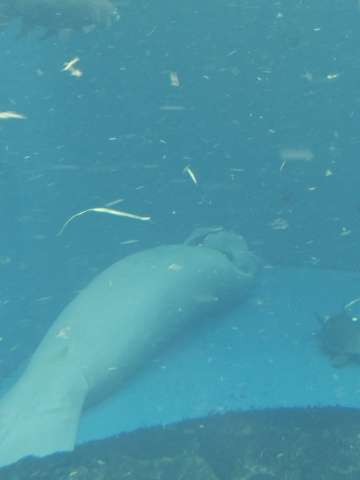 動物園や水族館で撮った写真見せてください!