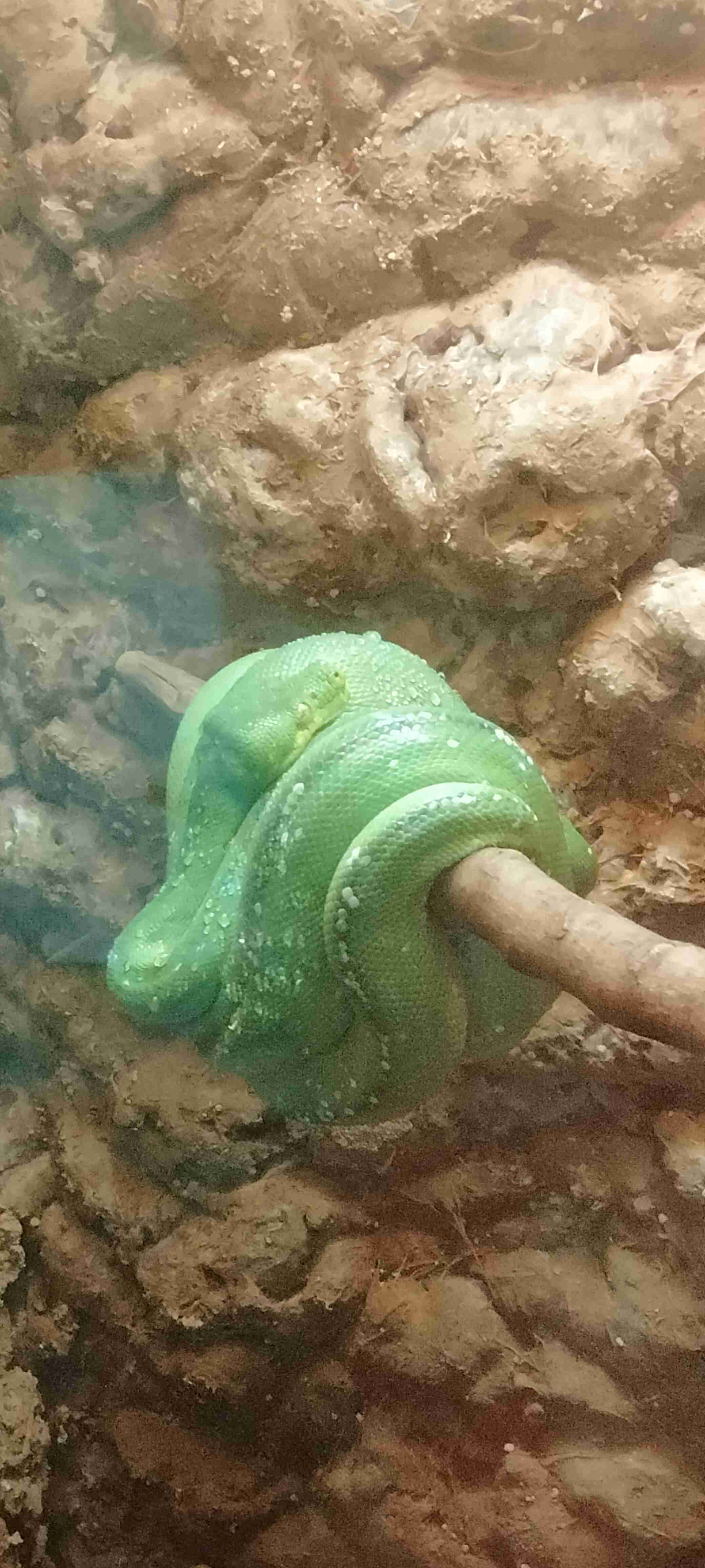 動物園や水族館で撮った写真見せてください!