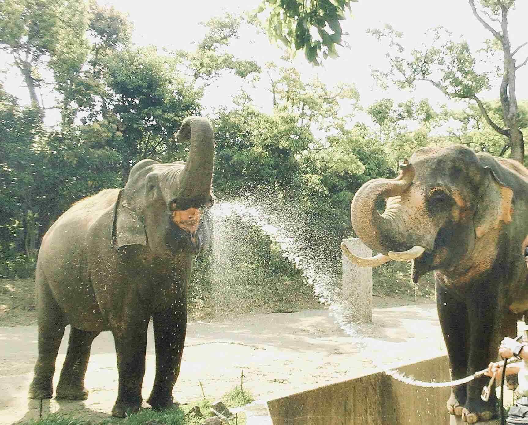 動物園や水族館で撮った写真見せてください!