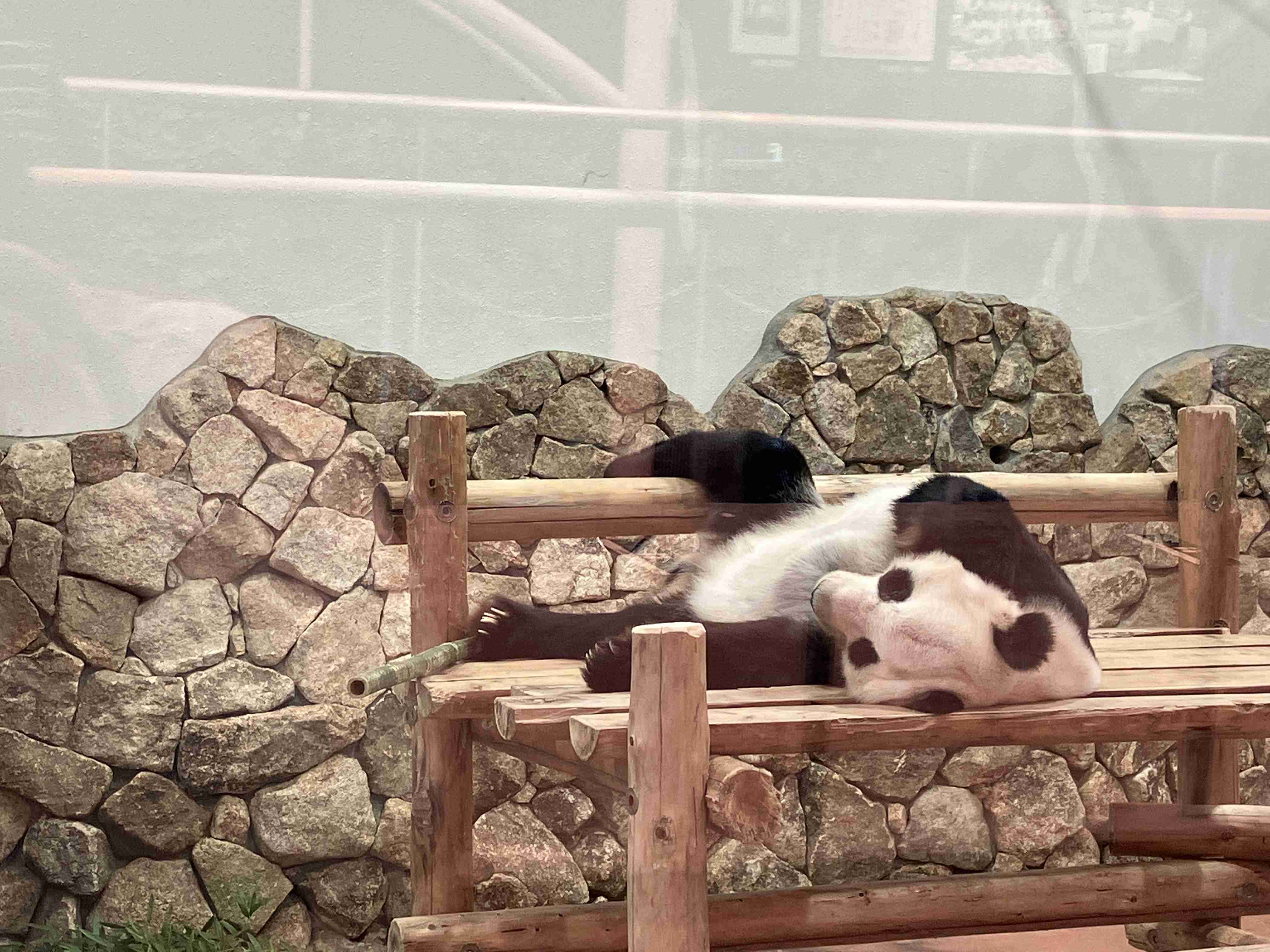 動物園や水族館で撮った写真見せてください!