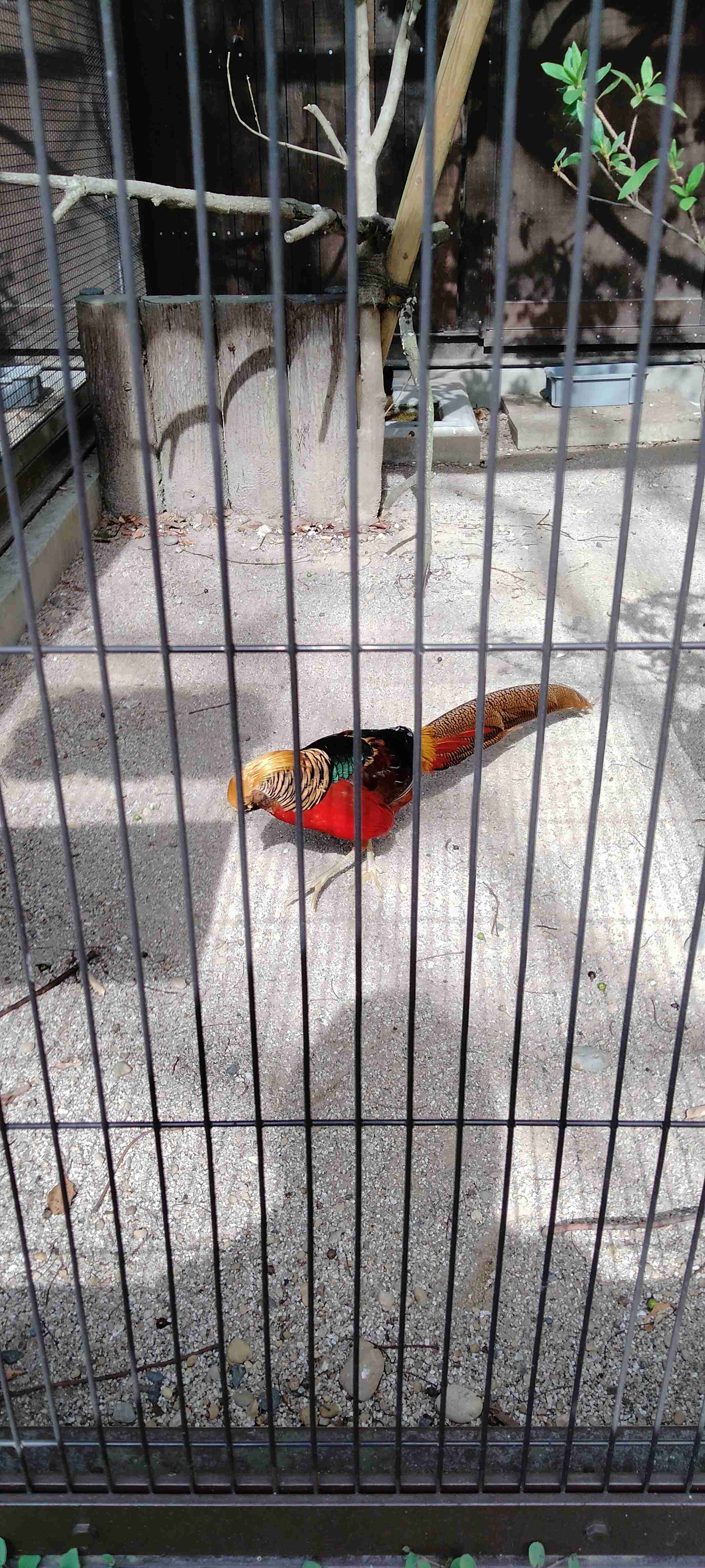 動物園や水族館で撮った写真見せてください!
