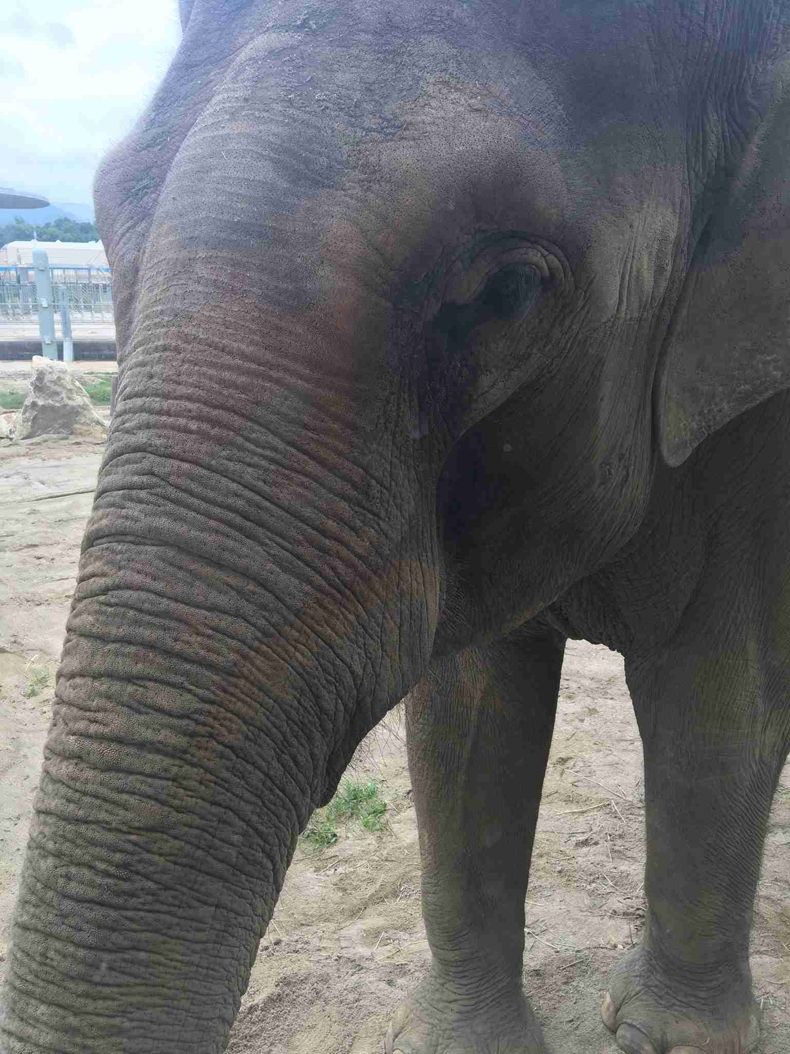 動物園や水族館で撮った写真見せてください!
