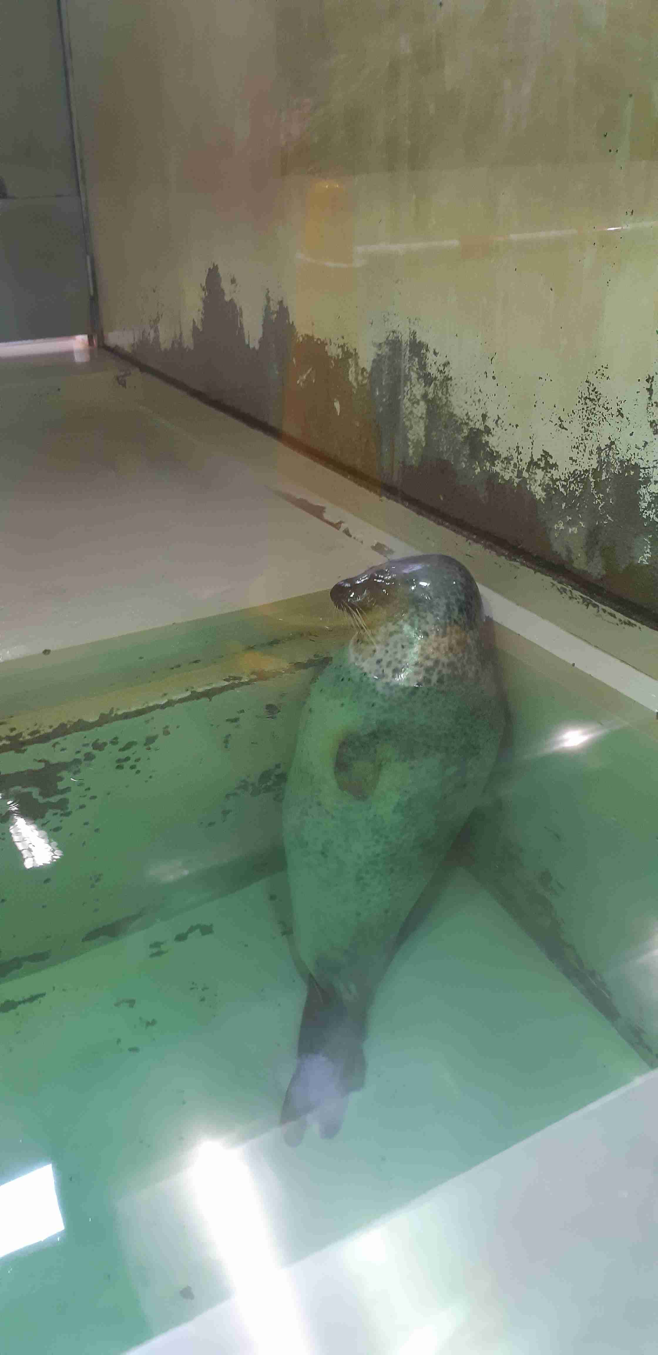 動物園や水族館で撮った写真見せてください!