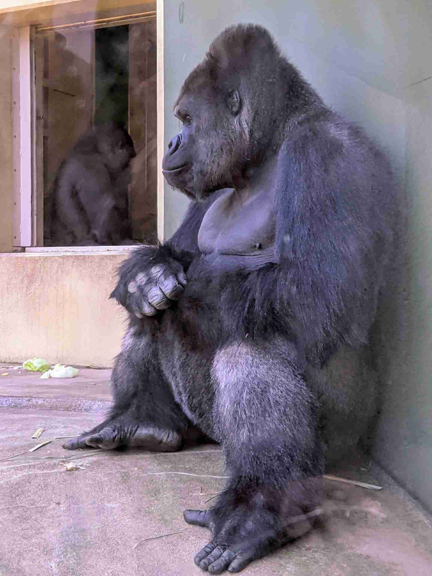 動物園や水族館で撮った写真見せてください!