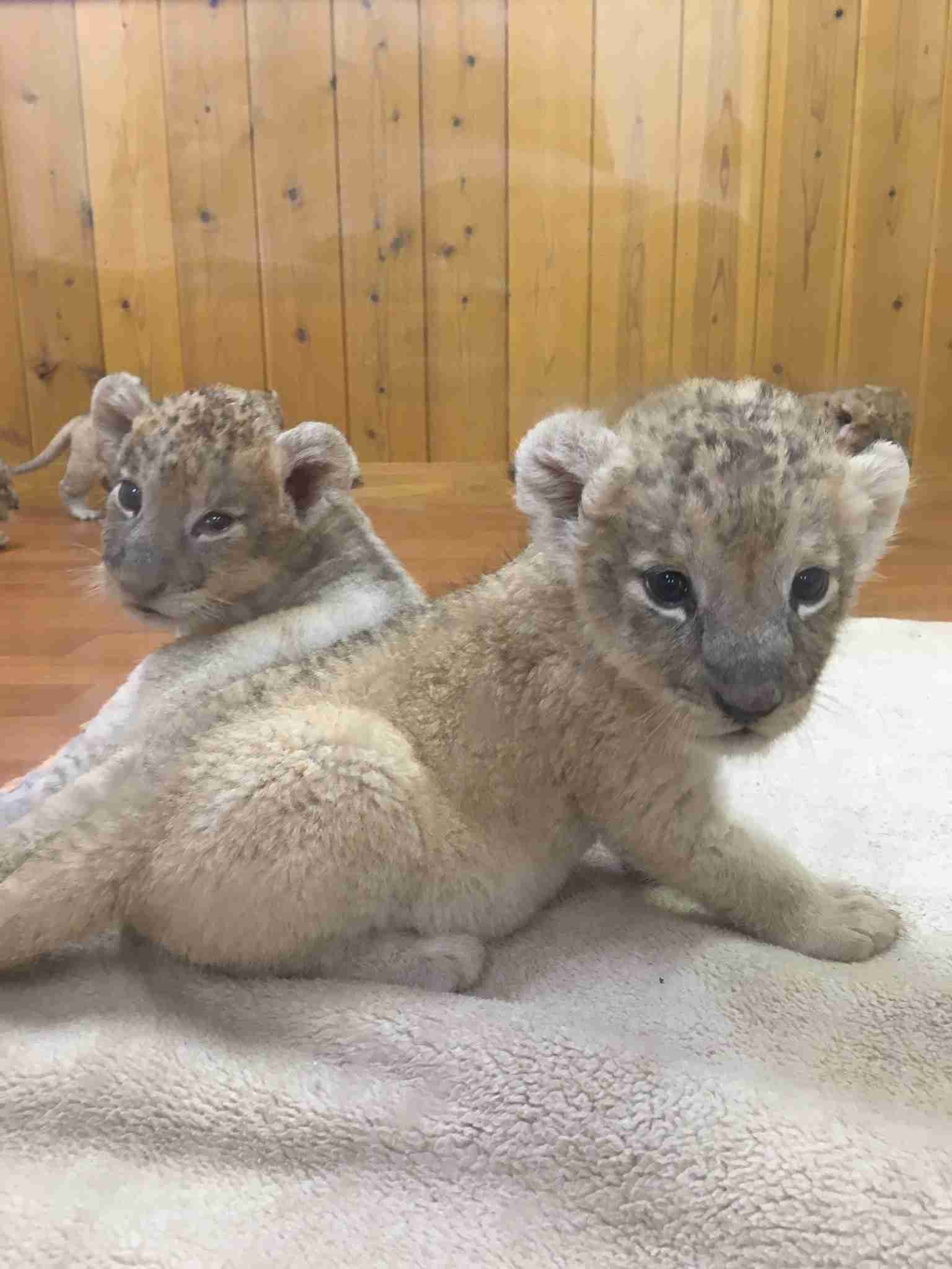 動物園や水族館で撮った写真見せてください!
