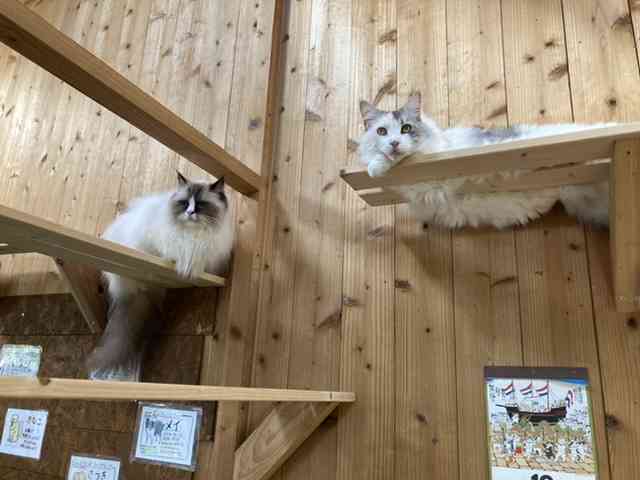 動物園や水族館で撮った写真見せてください!