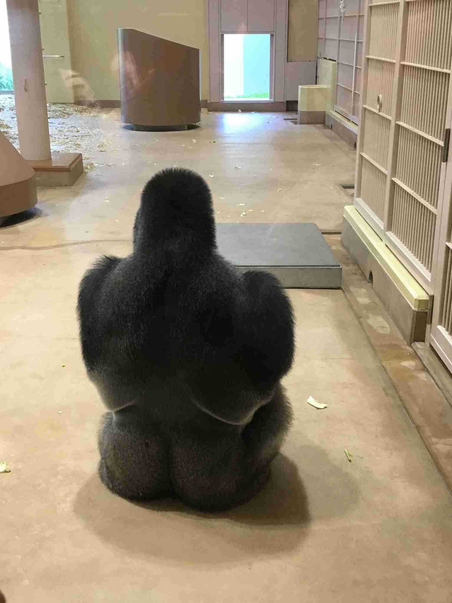 動物園や水族館で撮った写真見せてください!