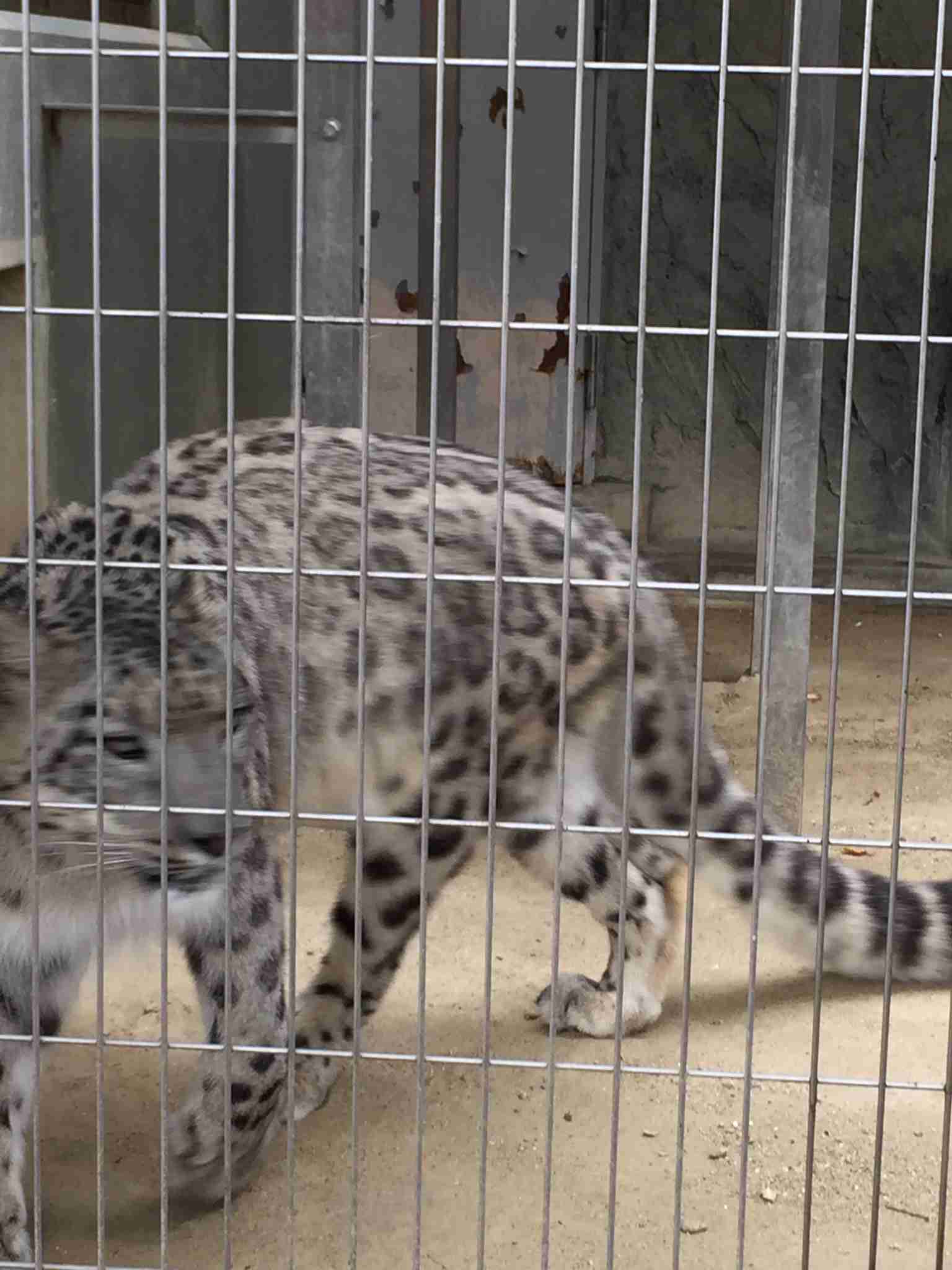 動物園や水族館で撮った写真見せてください!