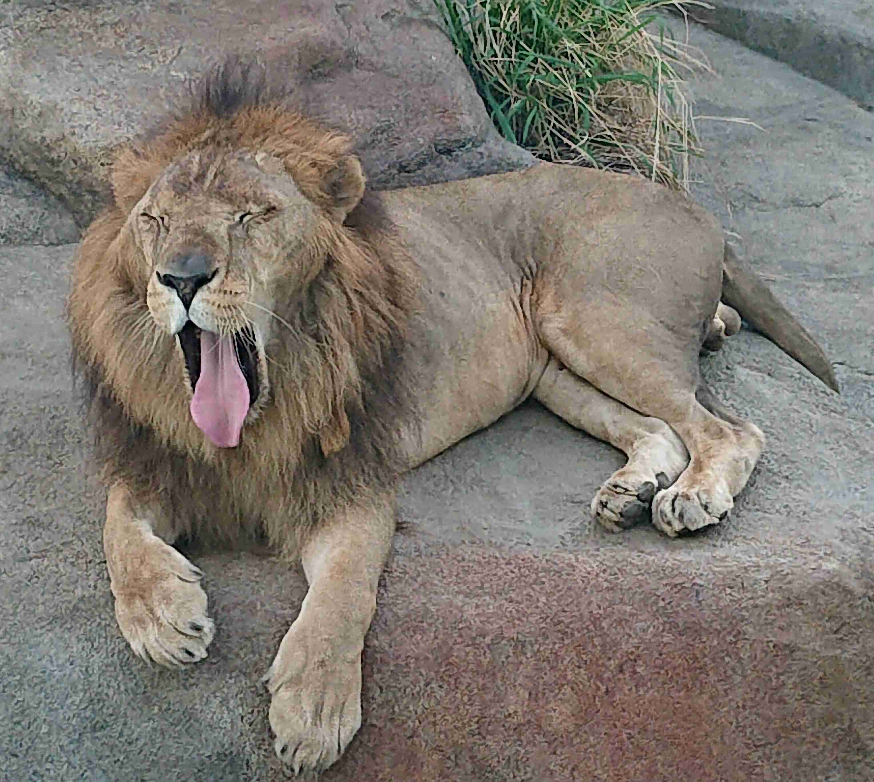 動物園や水族館で撮った写真見せてください!