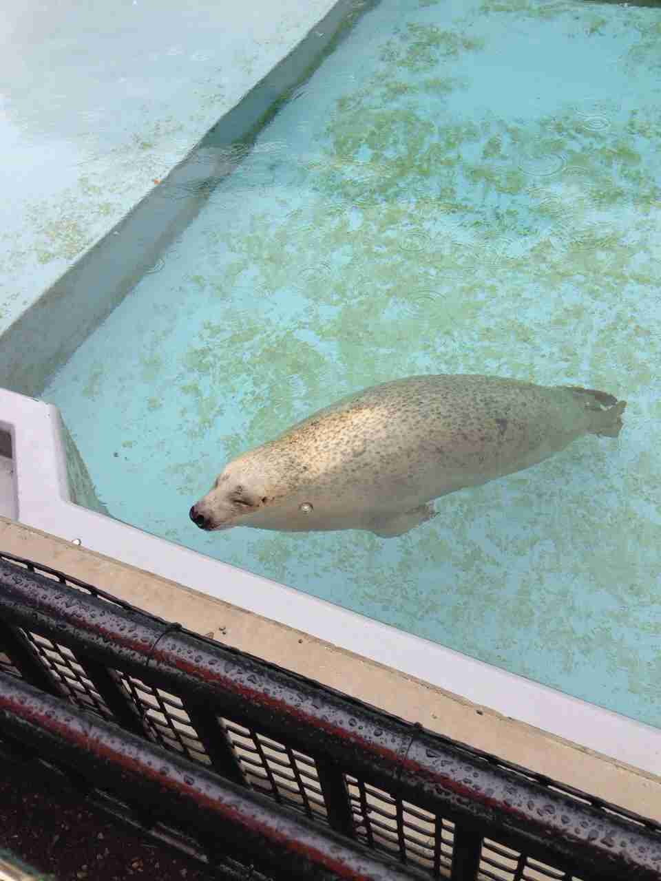動物園や水族館で撮った写真見せてください!