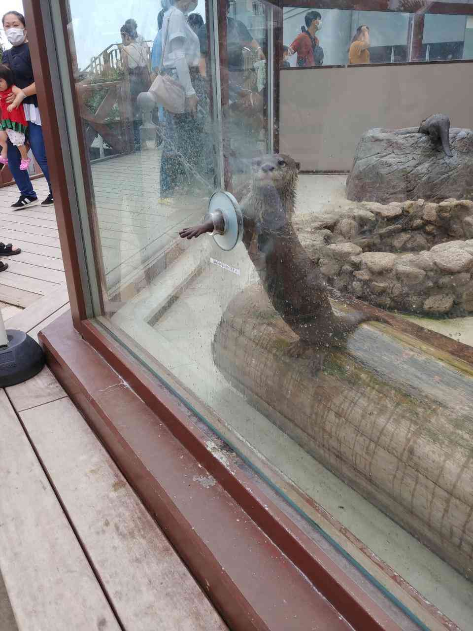 動物園や水族館で撮った写真見せてください!