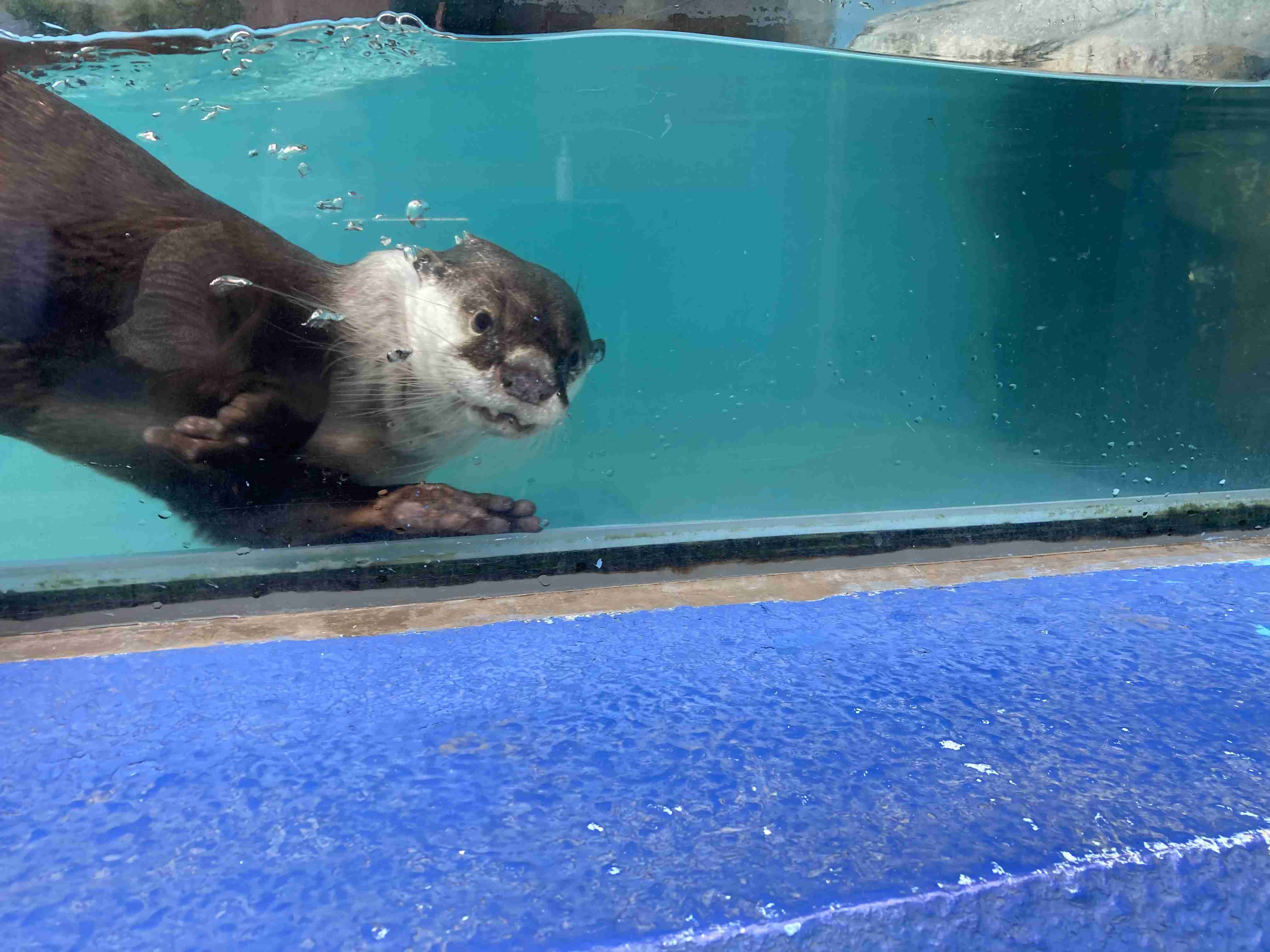 動物園や水族館で撮った写真見せてください!