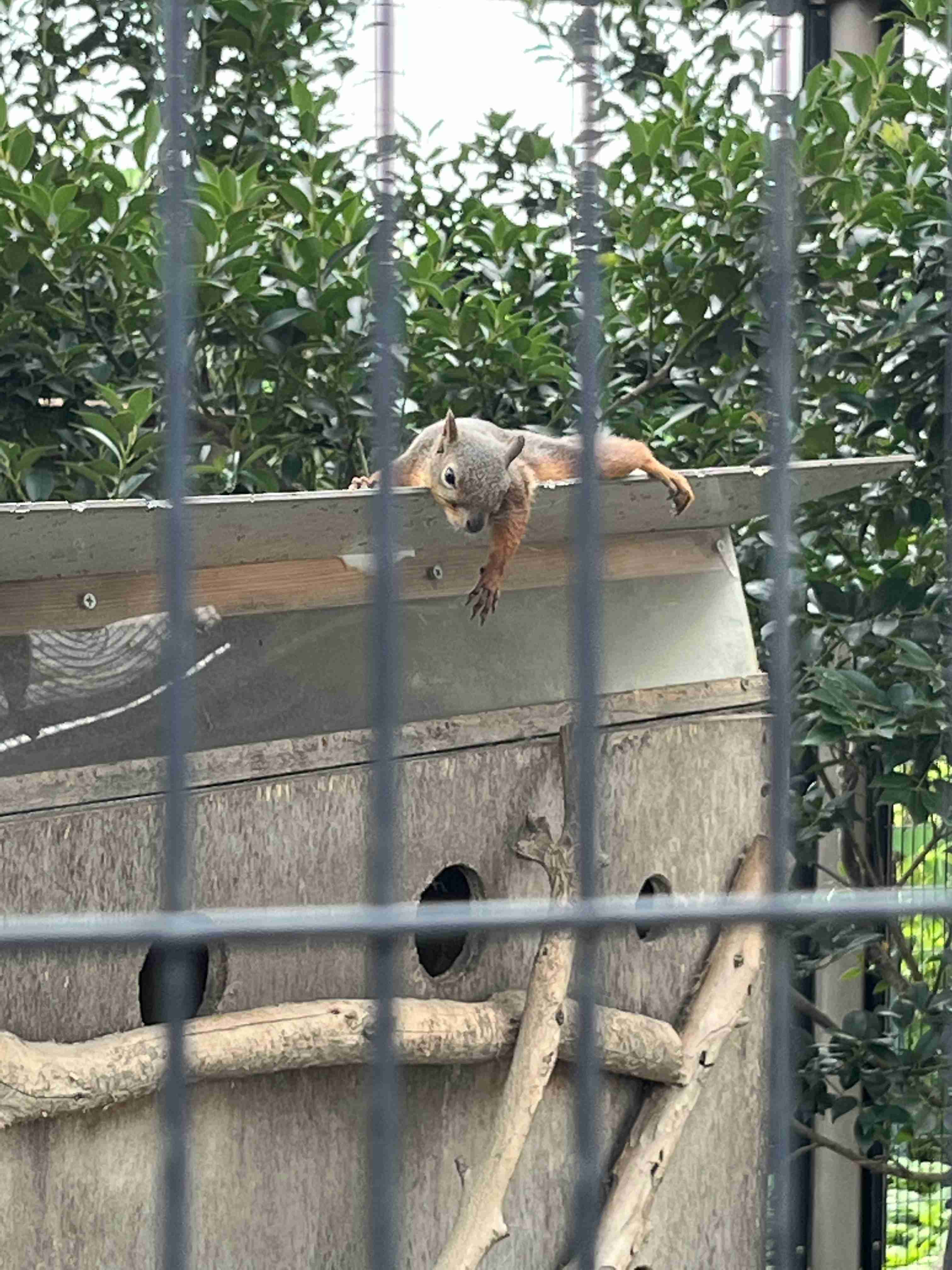 動物園や水族館で撮った写真見せてください!