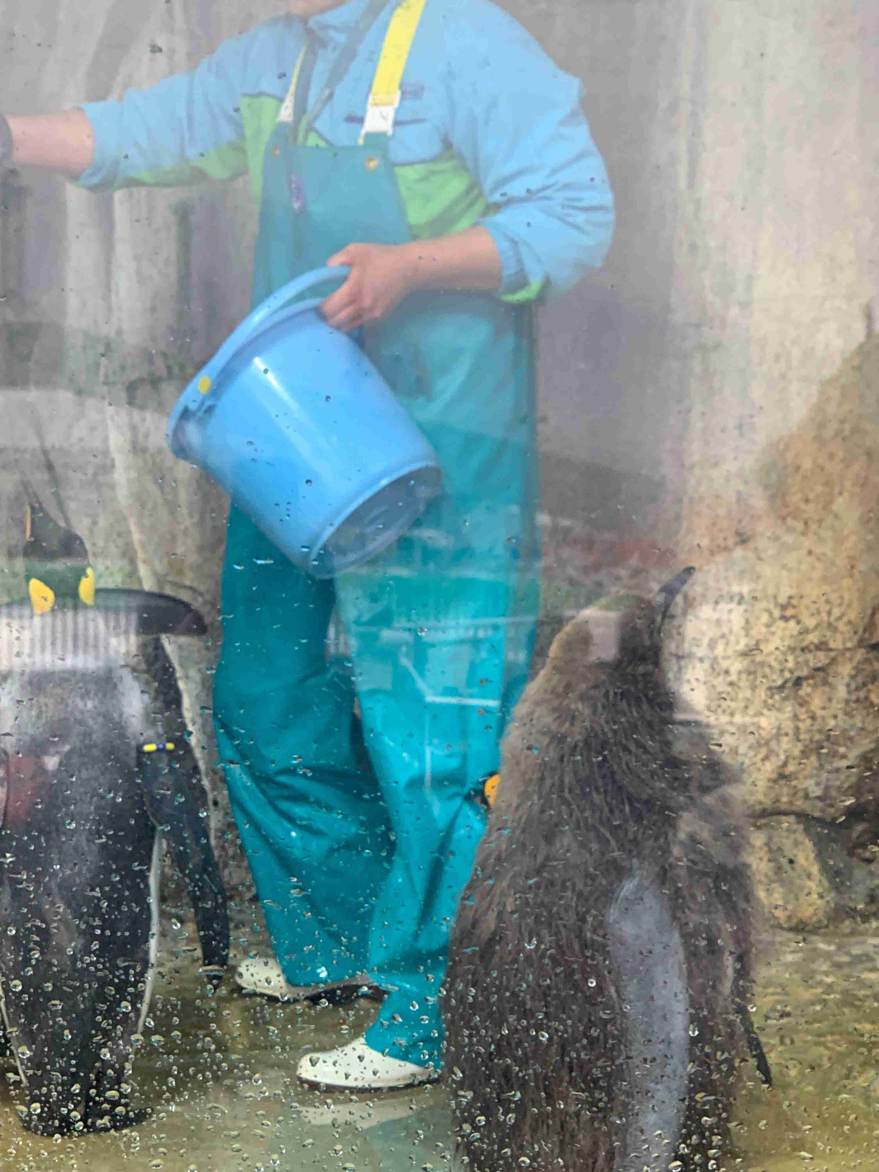 動物園や水族館で撮った写真見せてください!