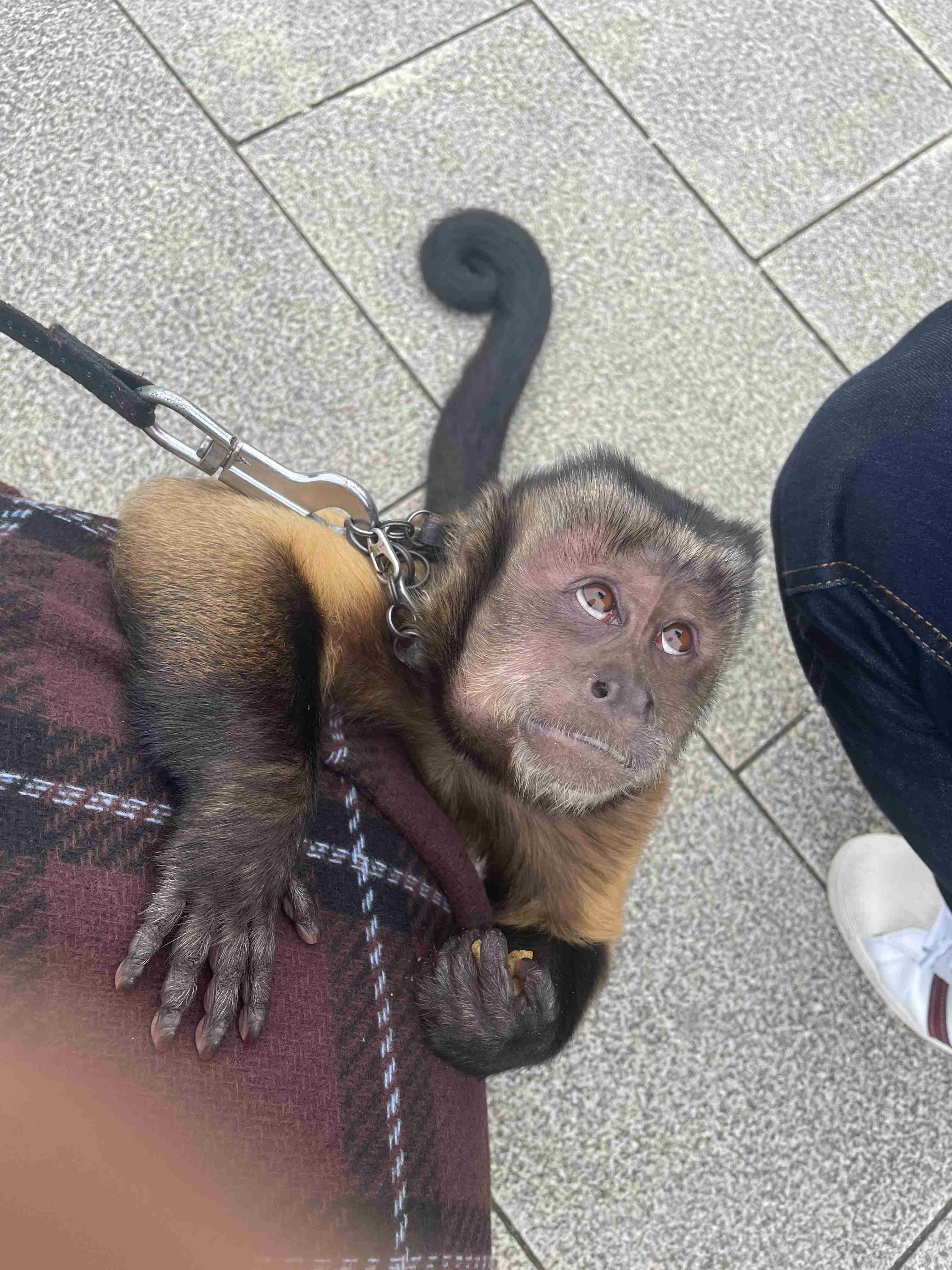 動物園や水族館で撮った写真見せてください!