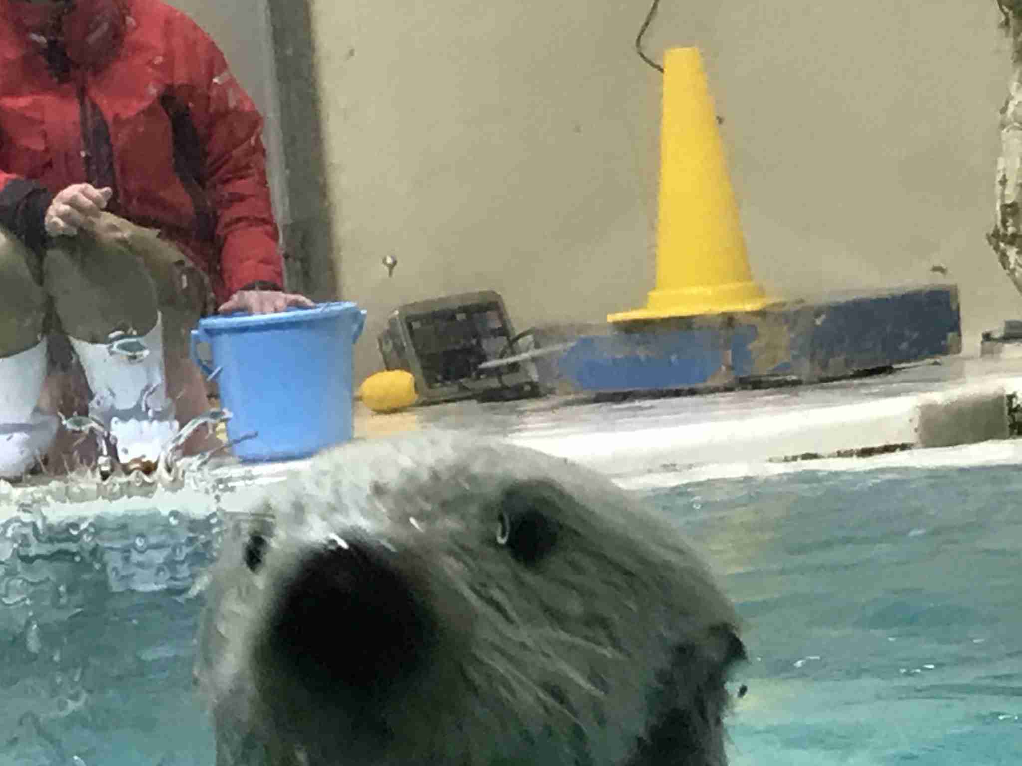 動物園や水族館で撮った写真見せてください!