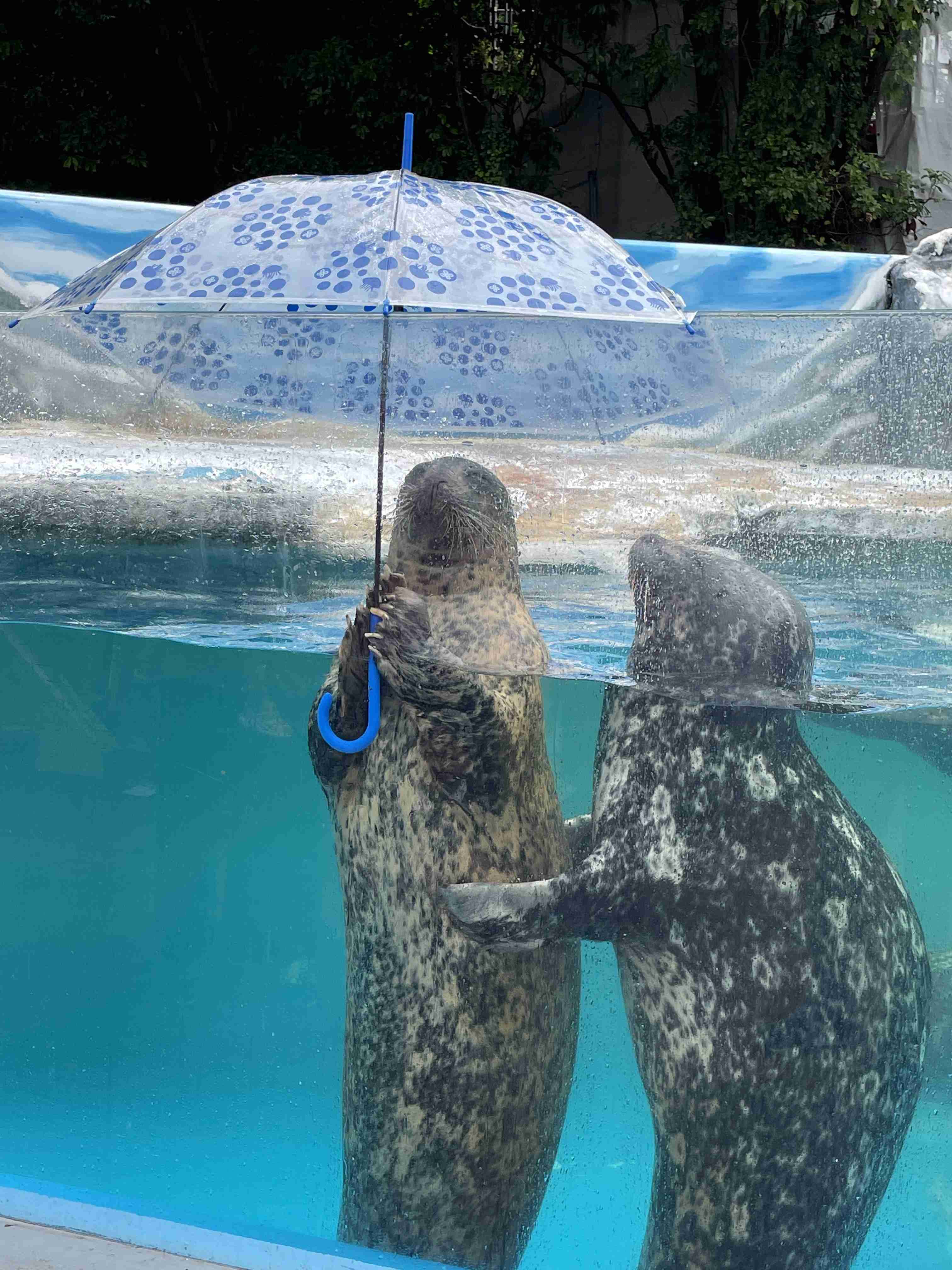 動物園や水族館で撮った写真見せてください!
