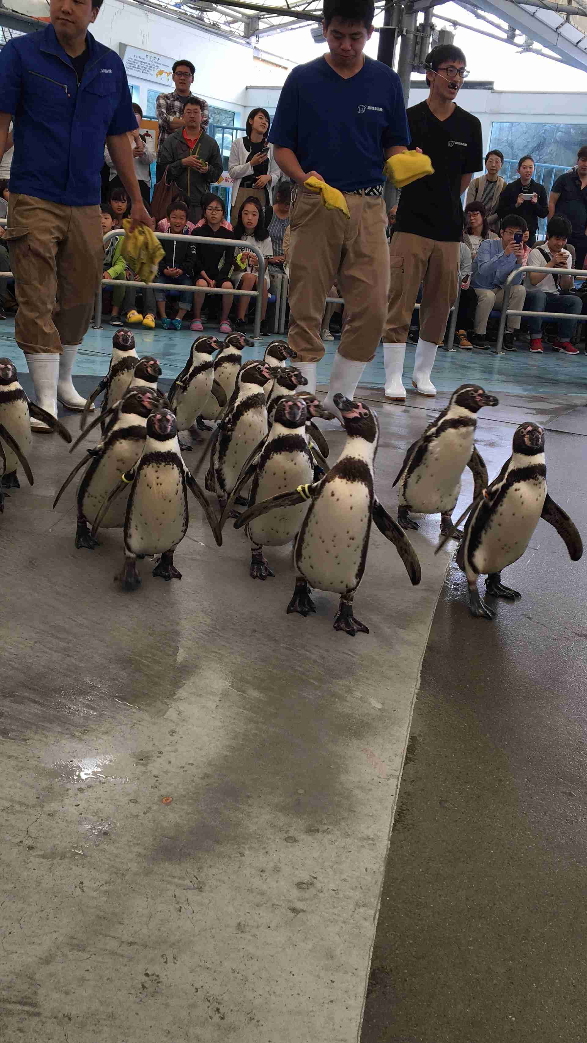 動物園や水族館で撮った写真見せてください!