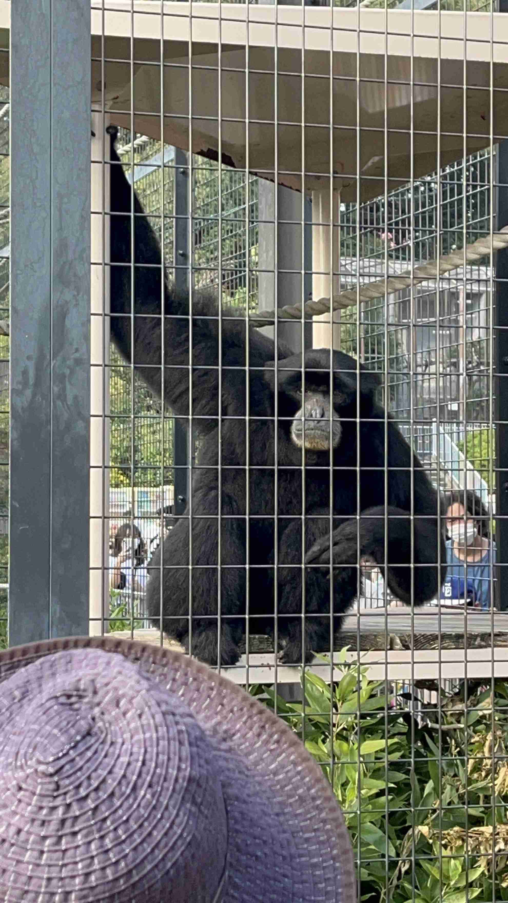 動物園や水族館で撮った写真見せてください!