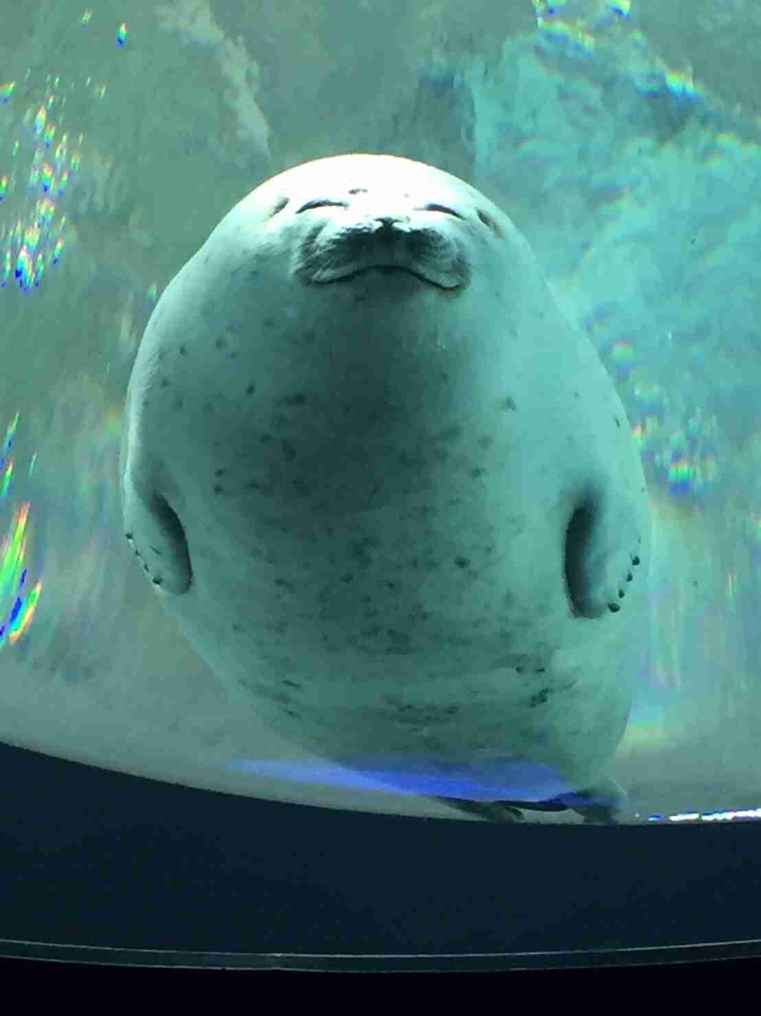 動物園や水族館で撮った写真見せてください!