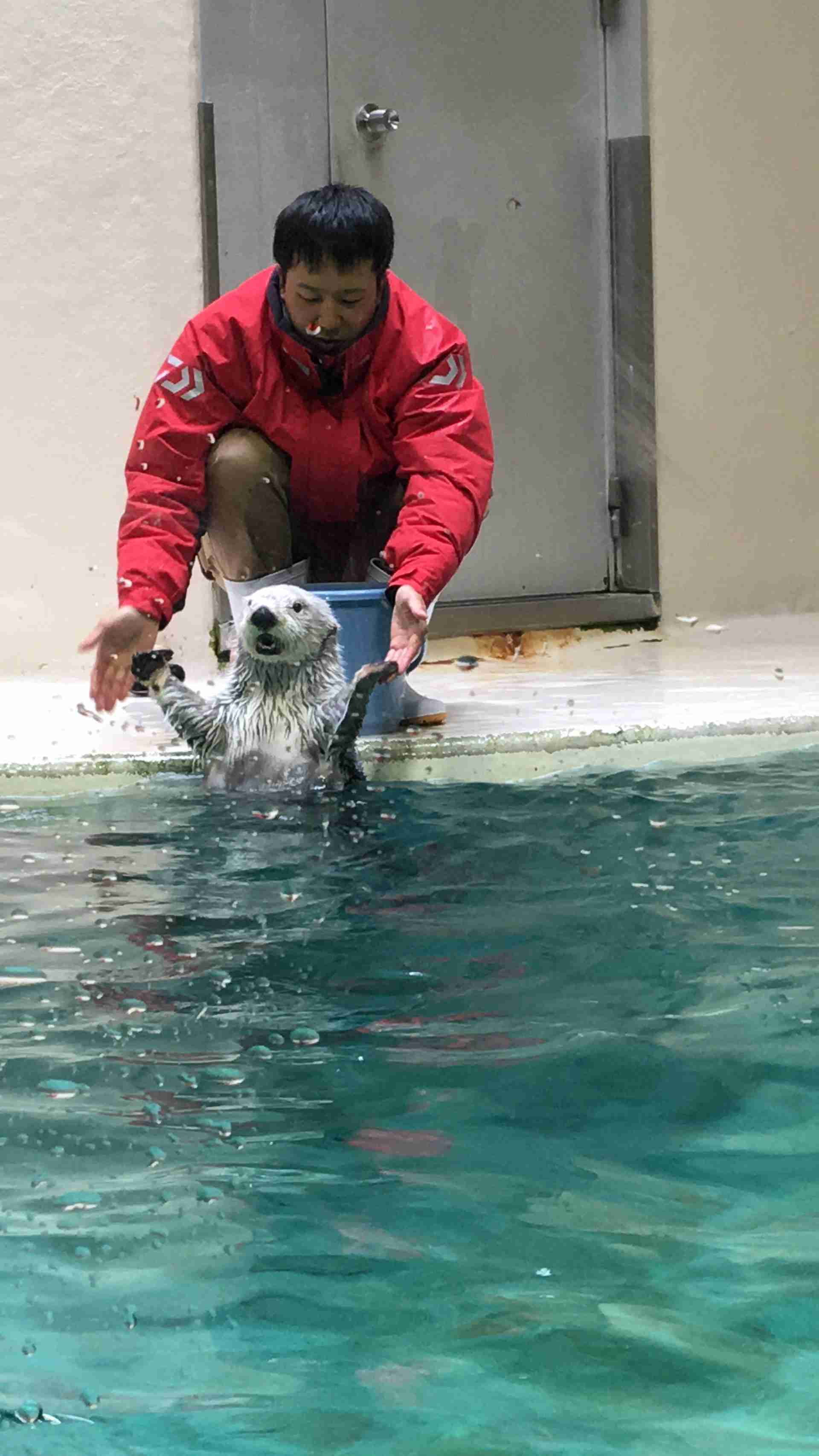 動物園や水族館で撮った写真見せてください!