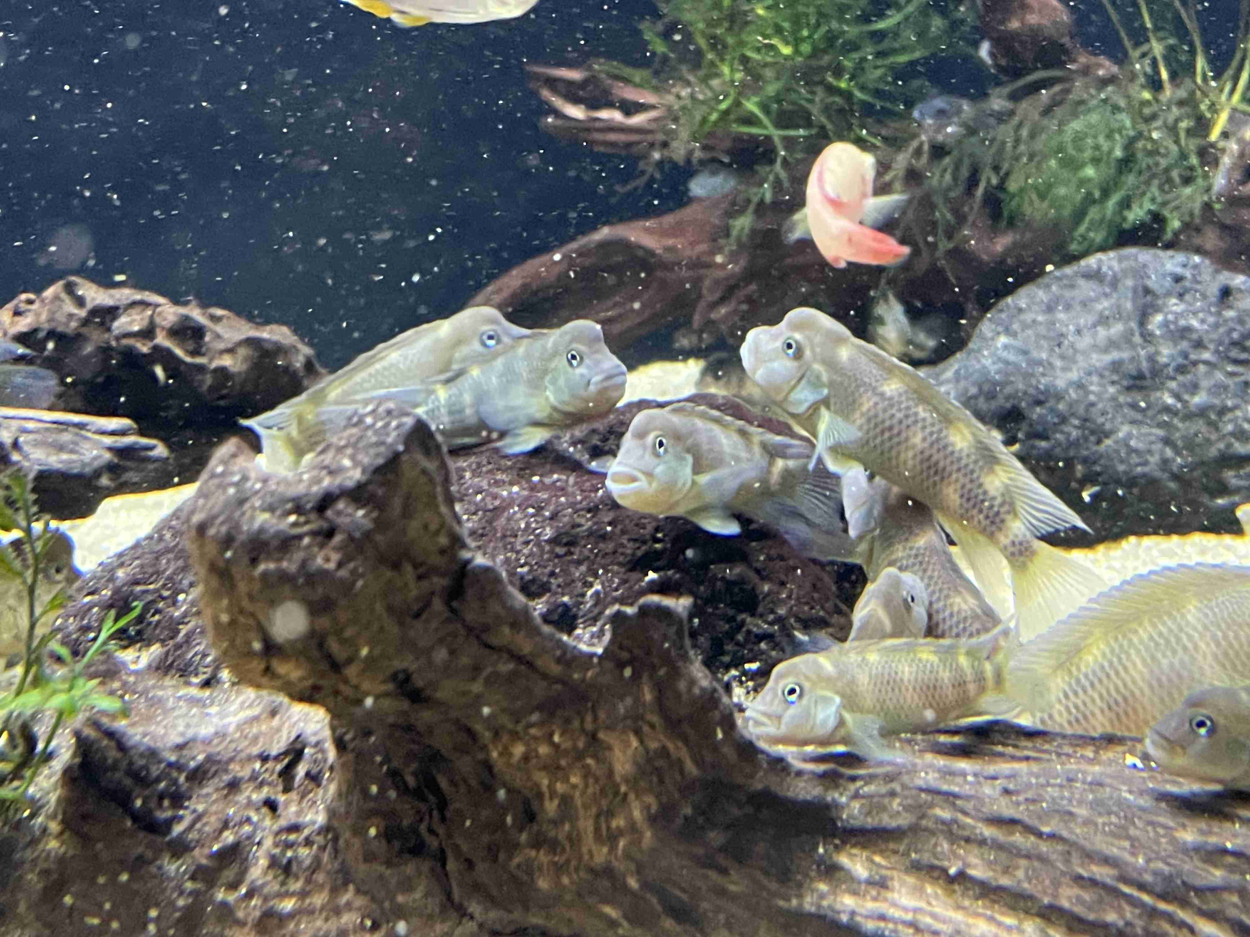 動物園や水族館で撮った写真見せてください!