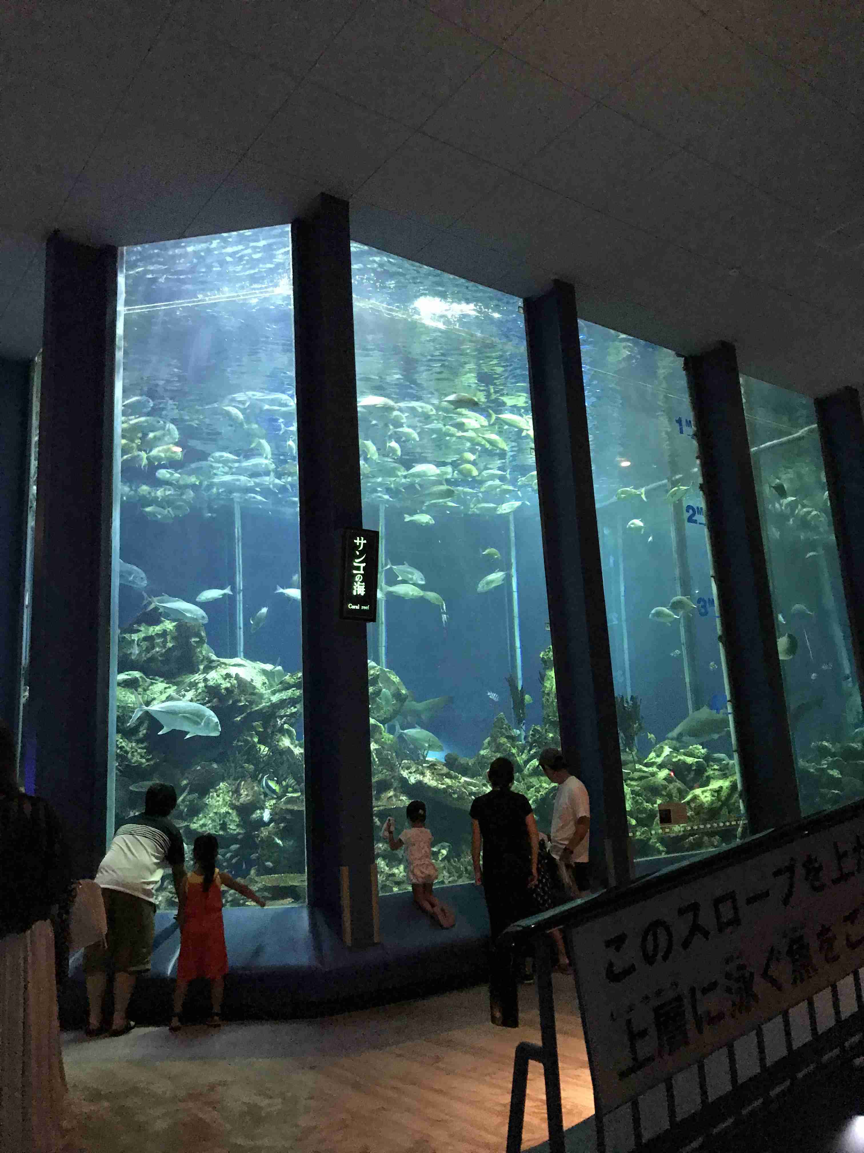 動物園や水族館で撮った写真見せてください!
