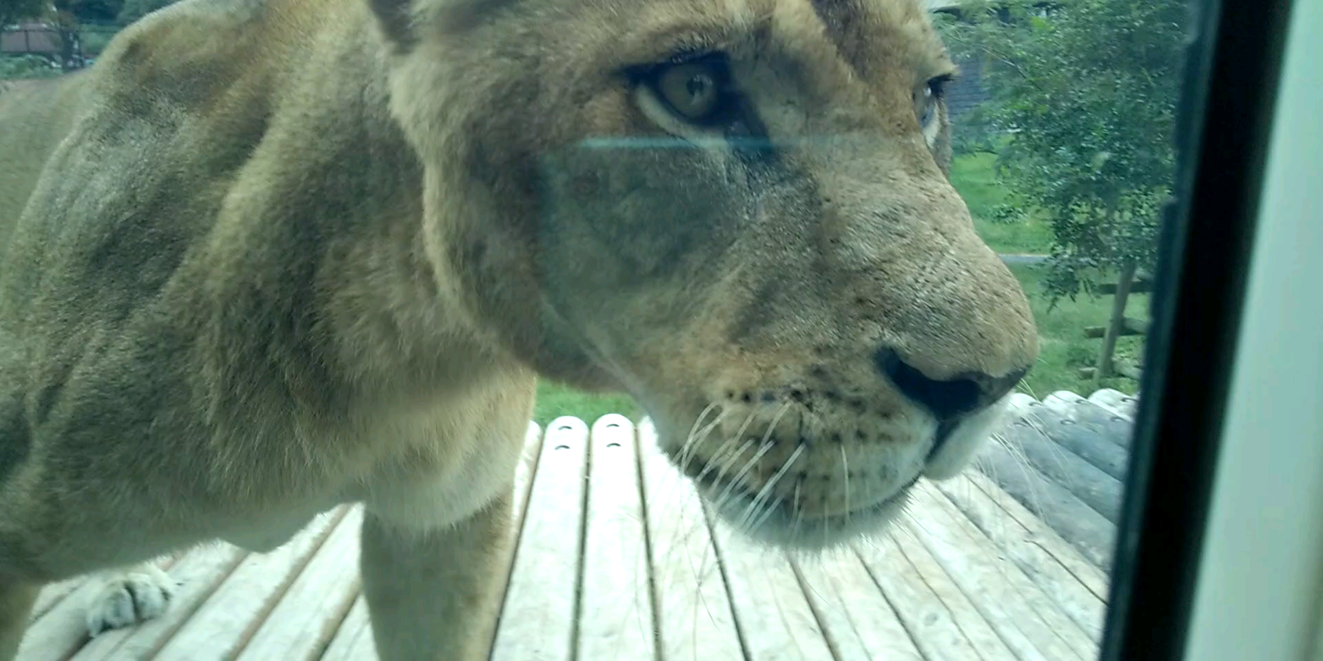 動物園や水族館で撮った写真見せてください!
