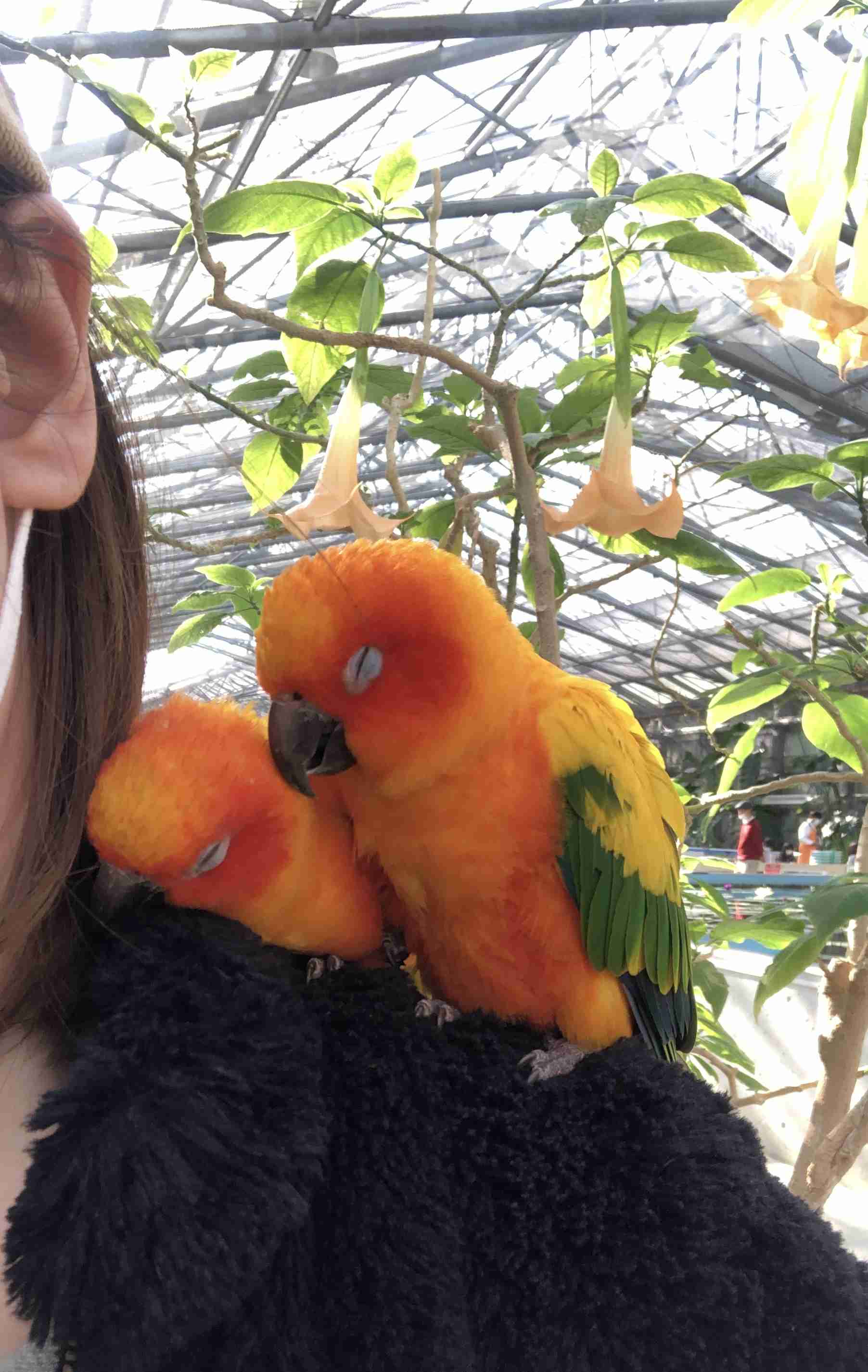 動物園や水族館で撮った写真見せてください!