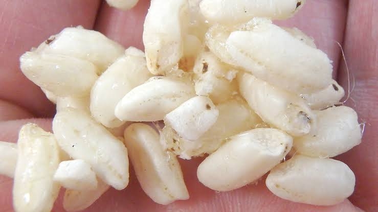 まだ商品化してないチロルチョコを考えよう