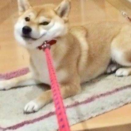 本命にはグイグイいく?いけない?