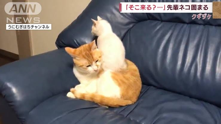 本命にはグイグイいく?いけない?