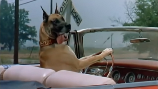 【画像】映画のワンシーンを貼ると観たことある人が作品名を当ててくれるトピ Part9