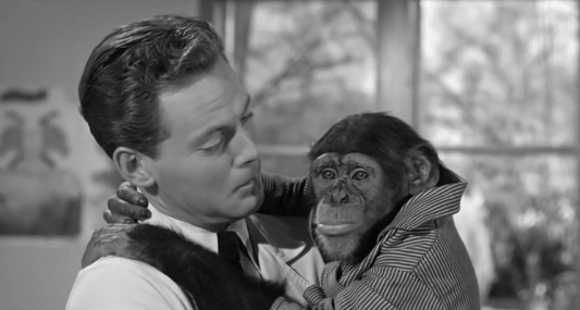 【画像】映画のワンシーンを貼ると観たことある人が作品名を当ててくれるトピ Part9