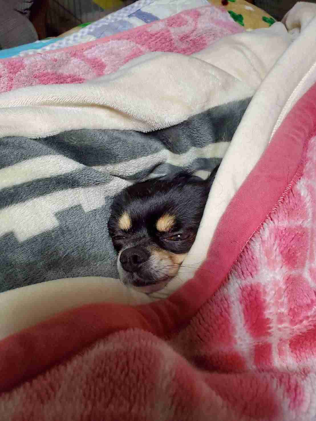 お金のかからない娯楽を教えてください