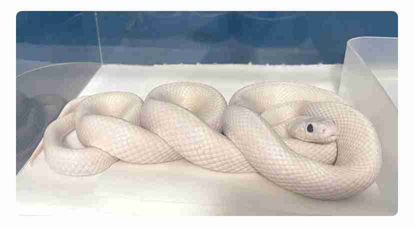 「不思議とお金が寄ってくる人」ってどんな人？