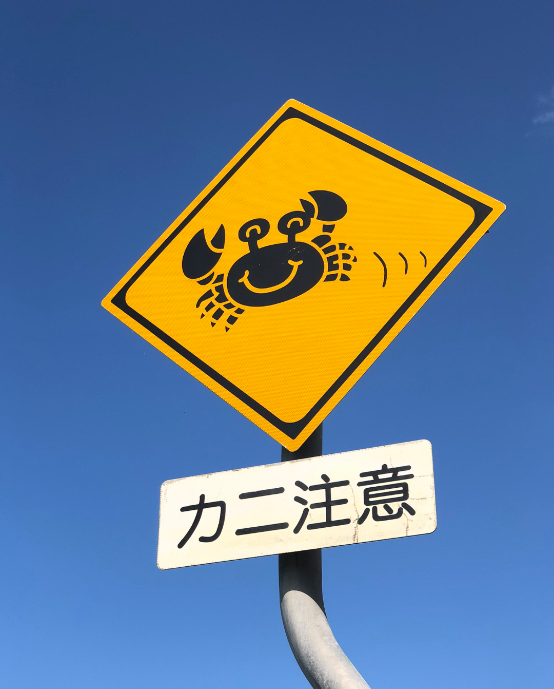 看板や道路標識、貼り紙が見たい