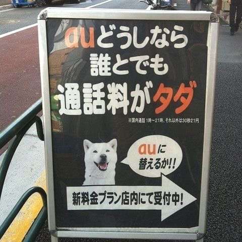 看板や道路標識、貼り紙が見たい