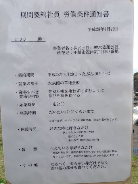 看板や道路標識、貼り紙が見たい